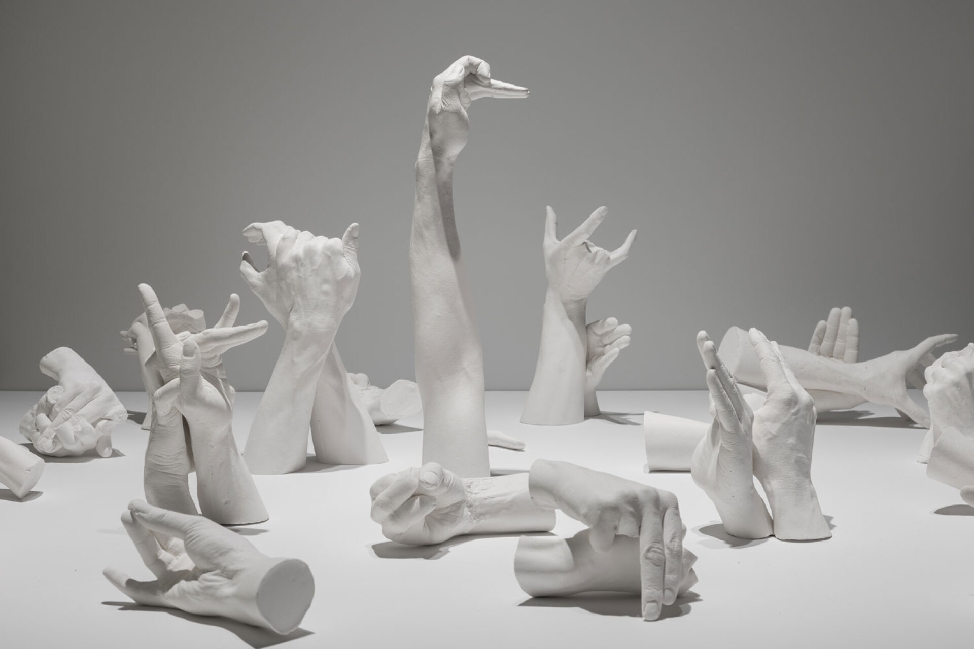 Marcus Coates |  Extinct Animals, 2018 (άποψη εγκατάστασης, λεπτομέρεια) | Σύνολο 19 εκμαγείων, γύψος | Μεταβλητές διαστάσεις | Ευγενική παραχώρηση του καλλιτέχνη και της Kate MacGarry, Λονδίνο