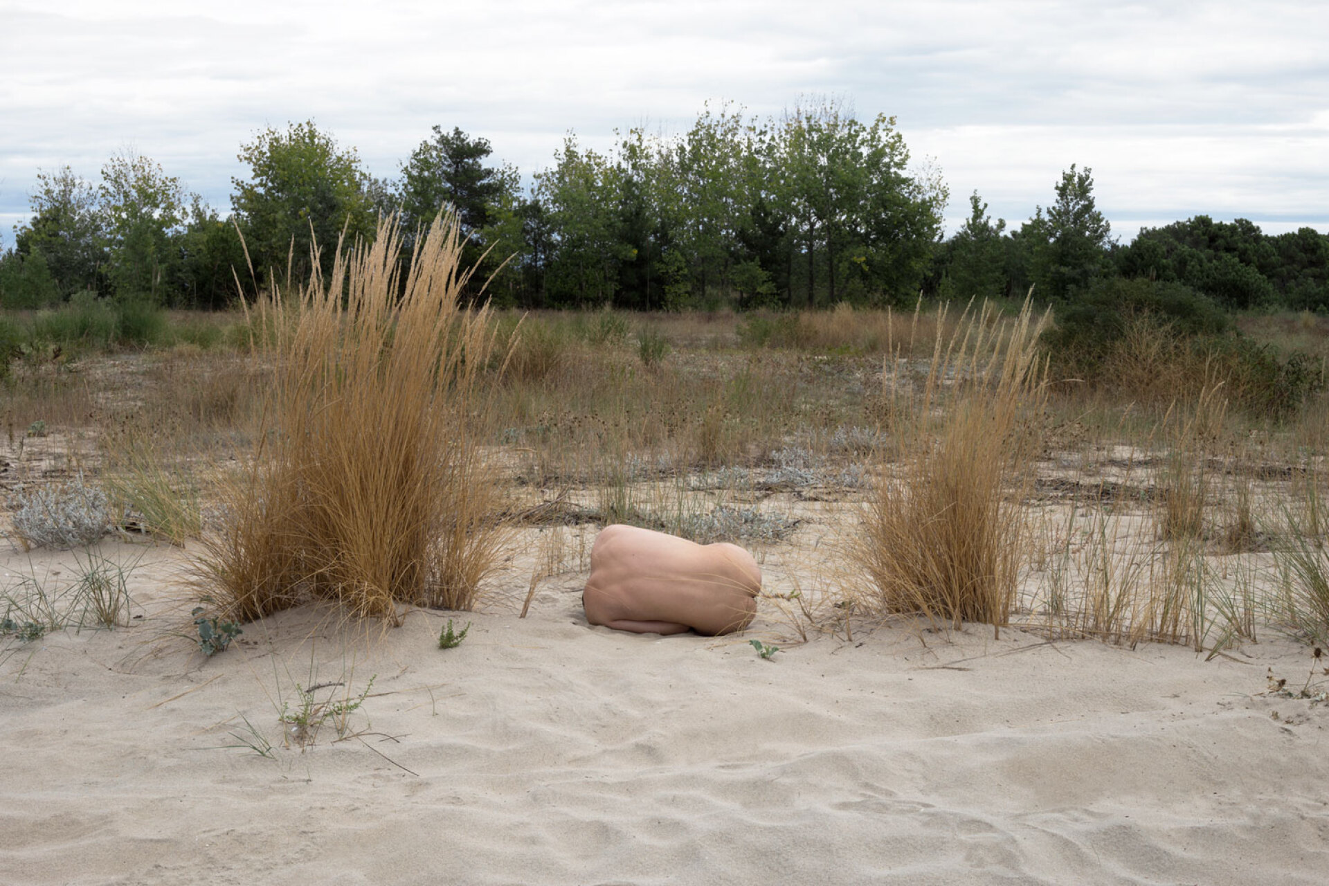 Χρίστος Καλλιοτζής