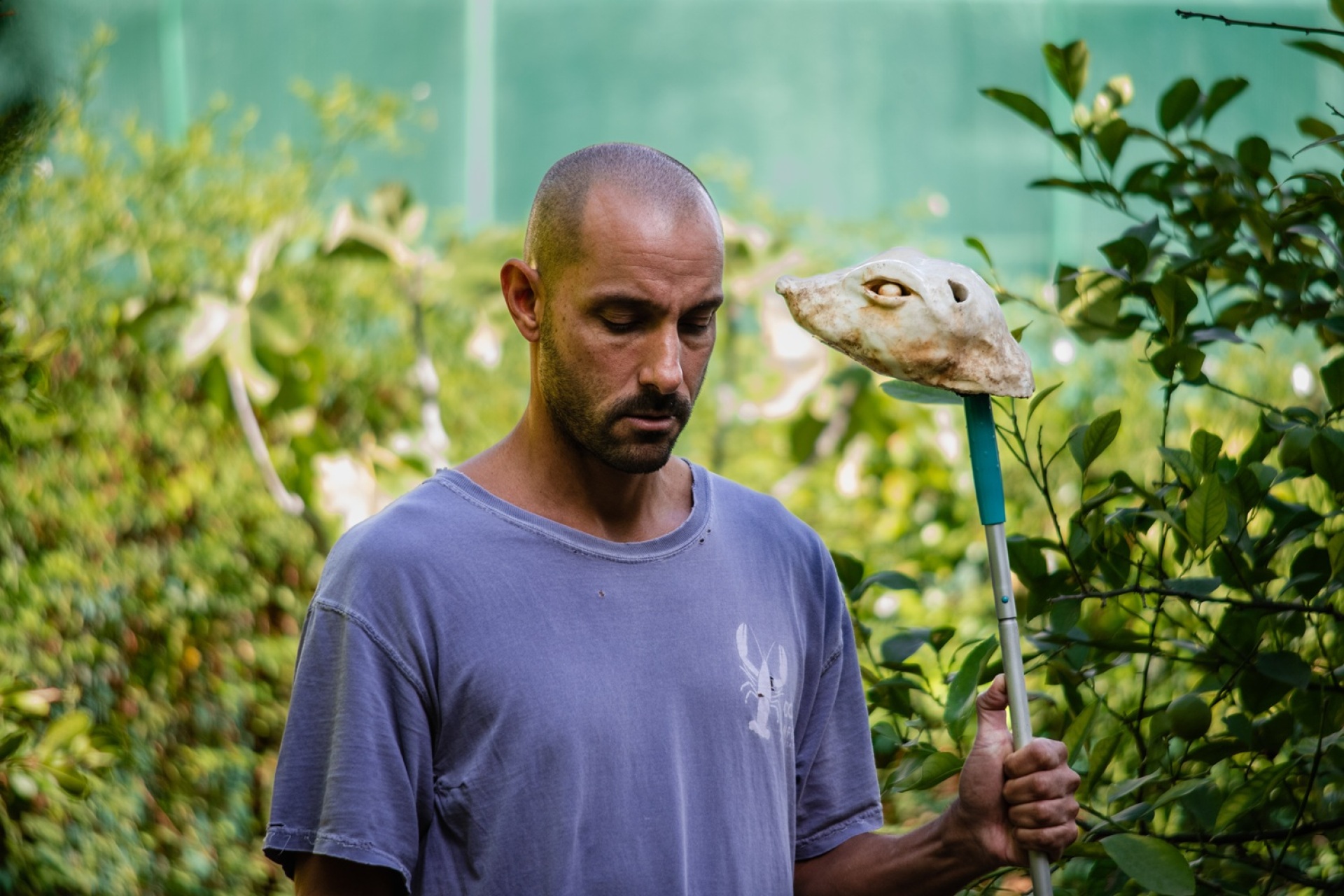 Θοδωρής Μπαργιώτας