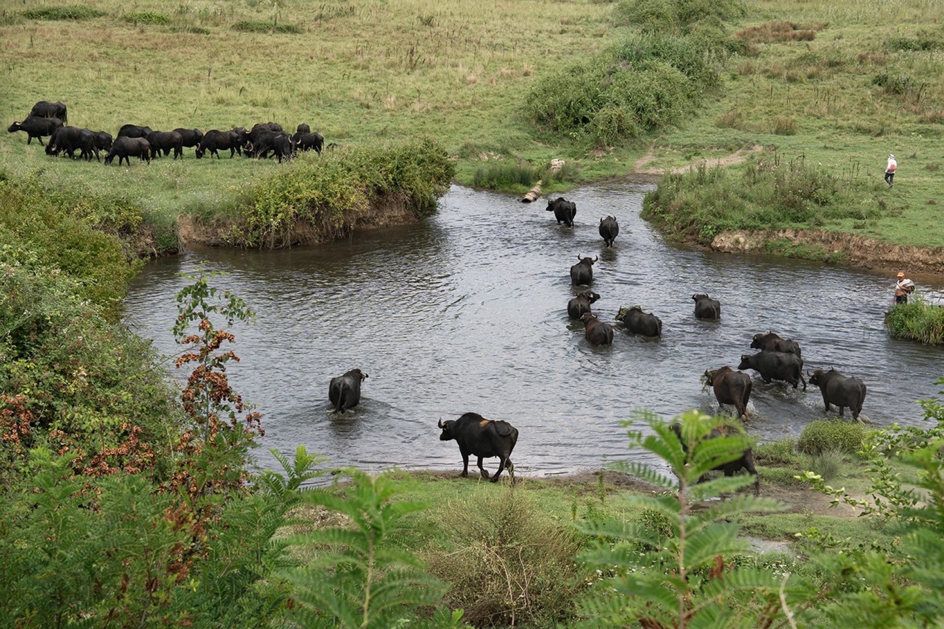 Φωτογραφικό πρότζεκτ «Η Λίμνη» της Υπατίας Κορνάρου