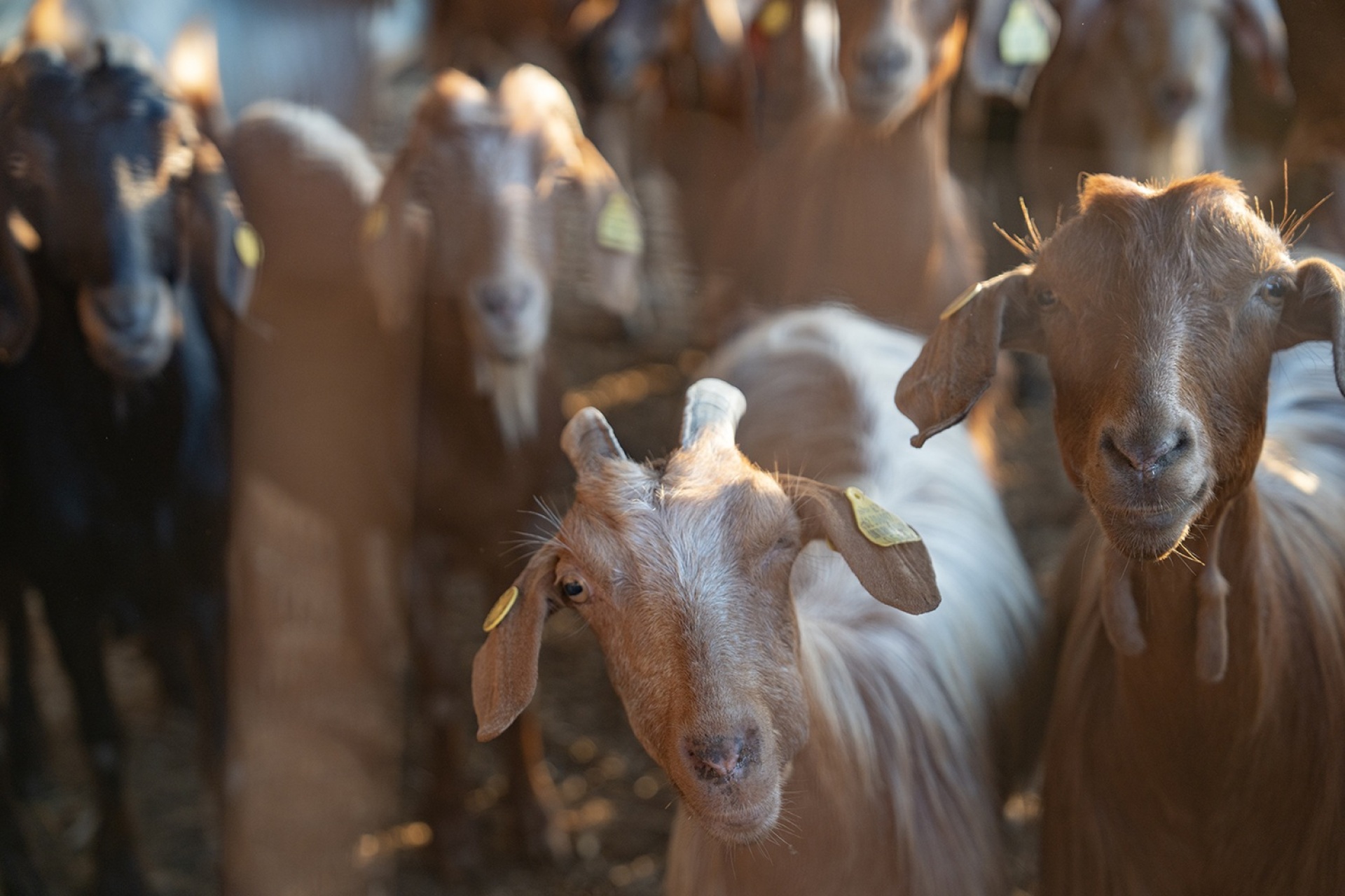 Φωτογραφικό πρότζεκτ «Η Λίμνη» της Υπατίας Κορνάρου