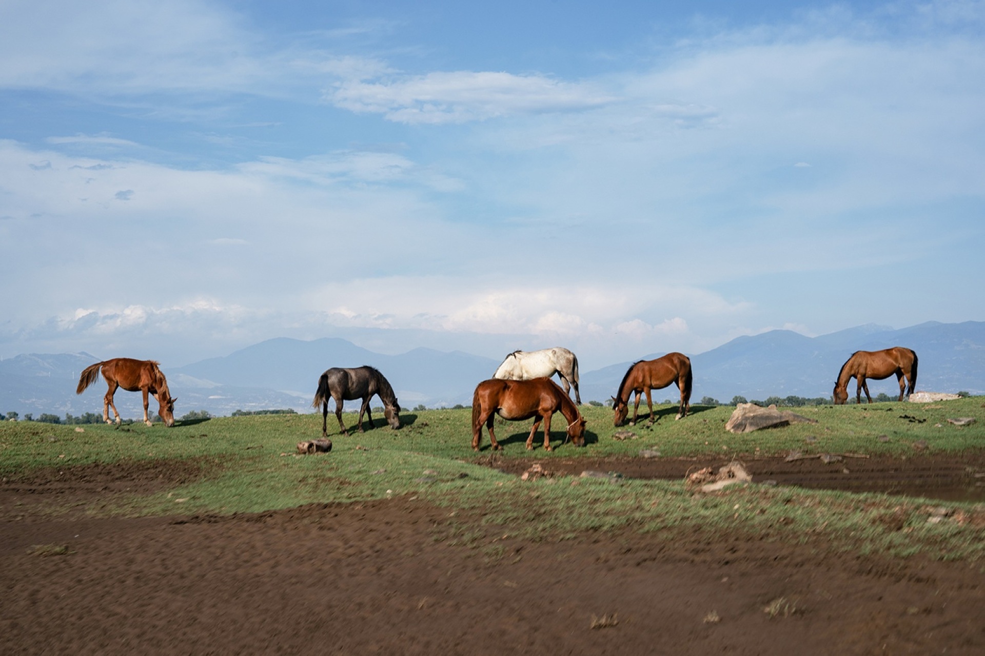 Φωτογραφικό πρότζεκτ «Η Λίμνη» της Υπατίας Κορνάρου