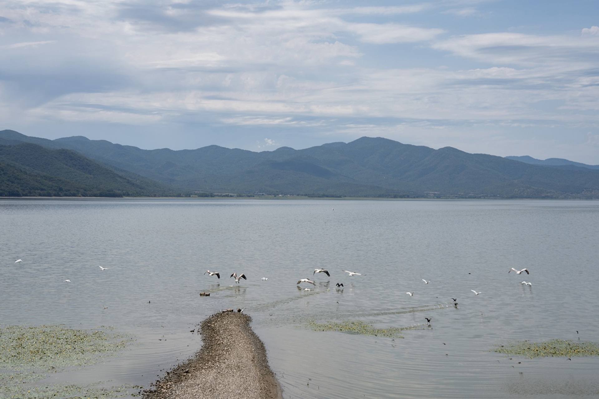 Φωτογραφικό πρότζεκτ «Η Λίμνη» της Υπατίας Κορνάρου