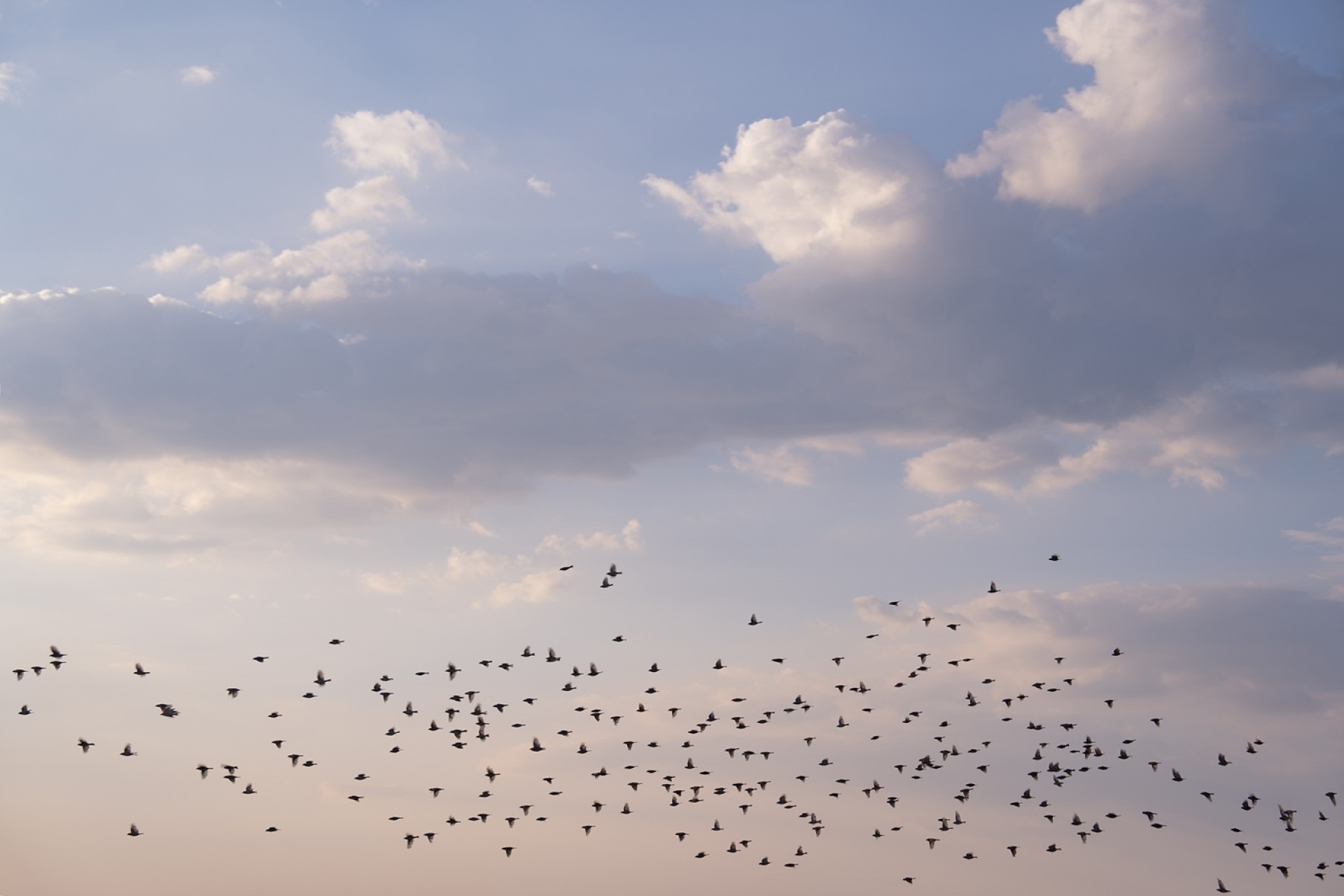 Φωτογραφικό πρότζεκτ «Η Λίμνη» της Υπατίας Κορνάρου