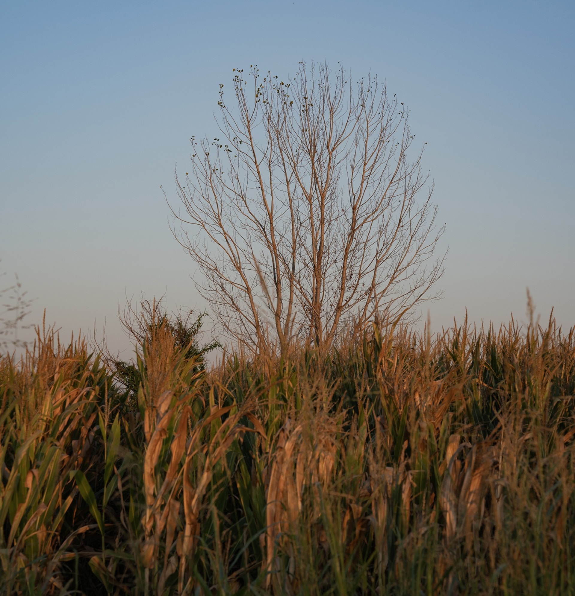 Φωτογραφικό πρότζεκτ «Η Λίμνη» της Υπατίας Κορνάρου