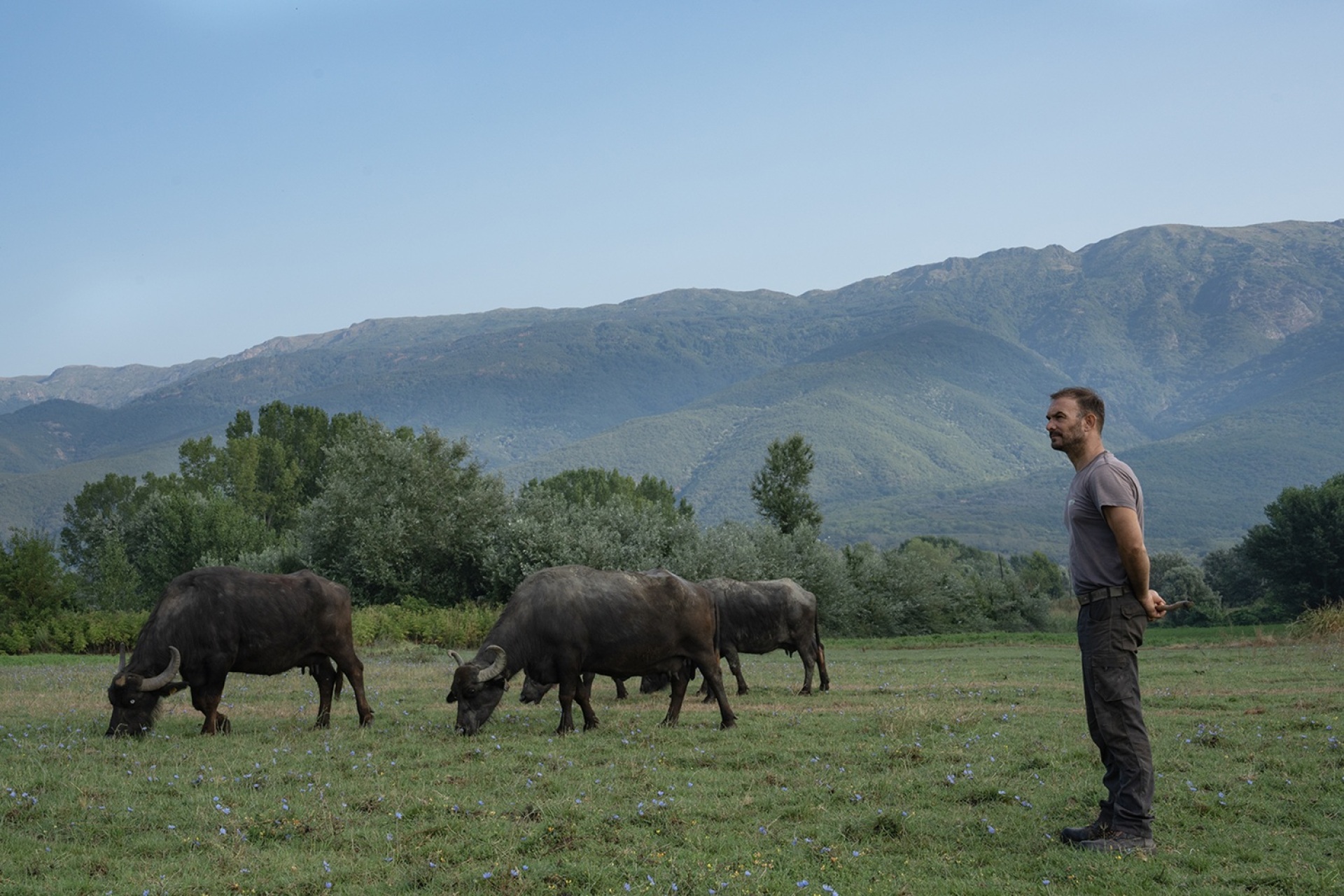 Φωτογραφικό πρότζεκτ «Η Λίμνη» της Υπατίας Κορνάρου