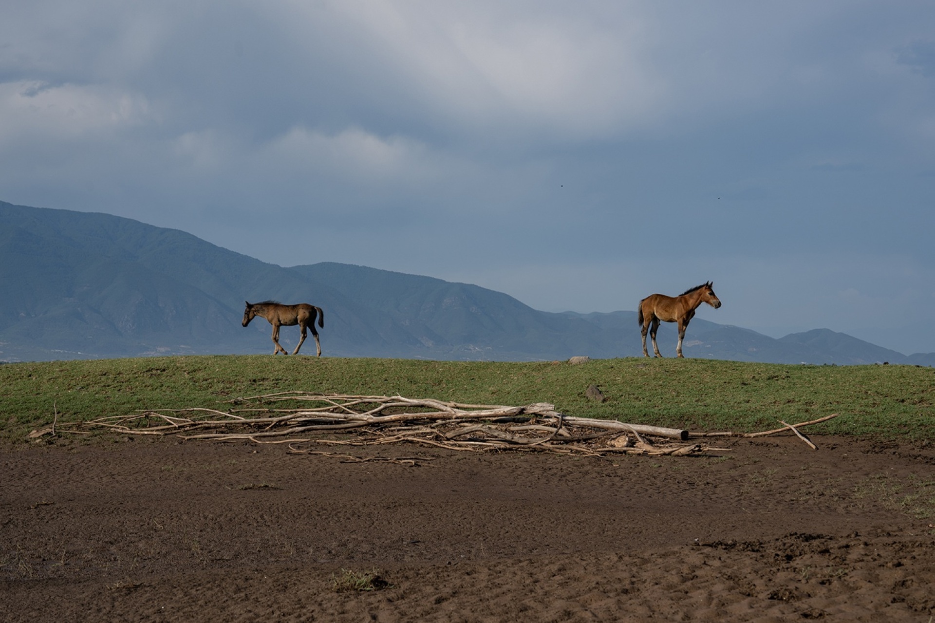 Φωτογραφικό πρότζεκτ «Η Λίμνη» της Υπατίας Κορνάρου