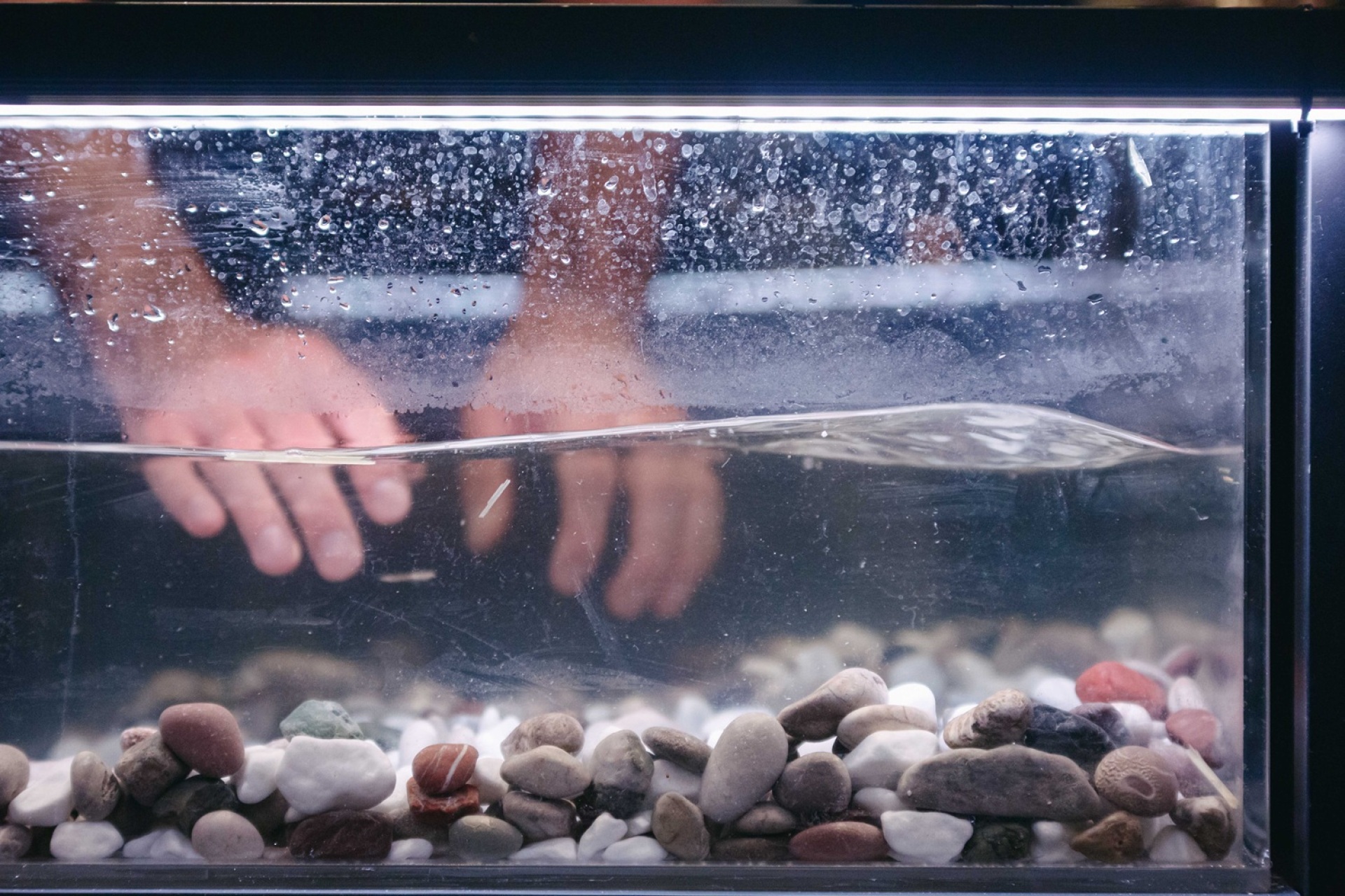 «Cow/deer» στο Εθνικό Θέατρο