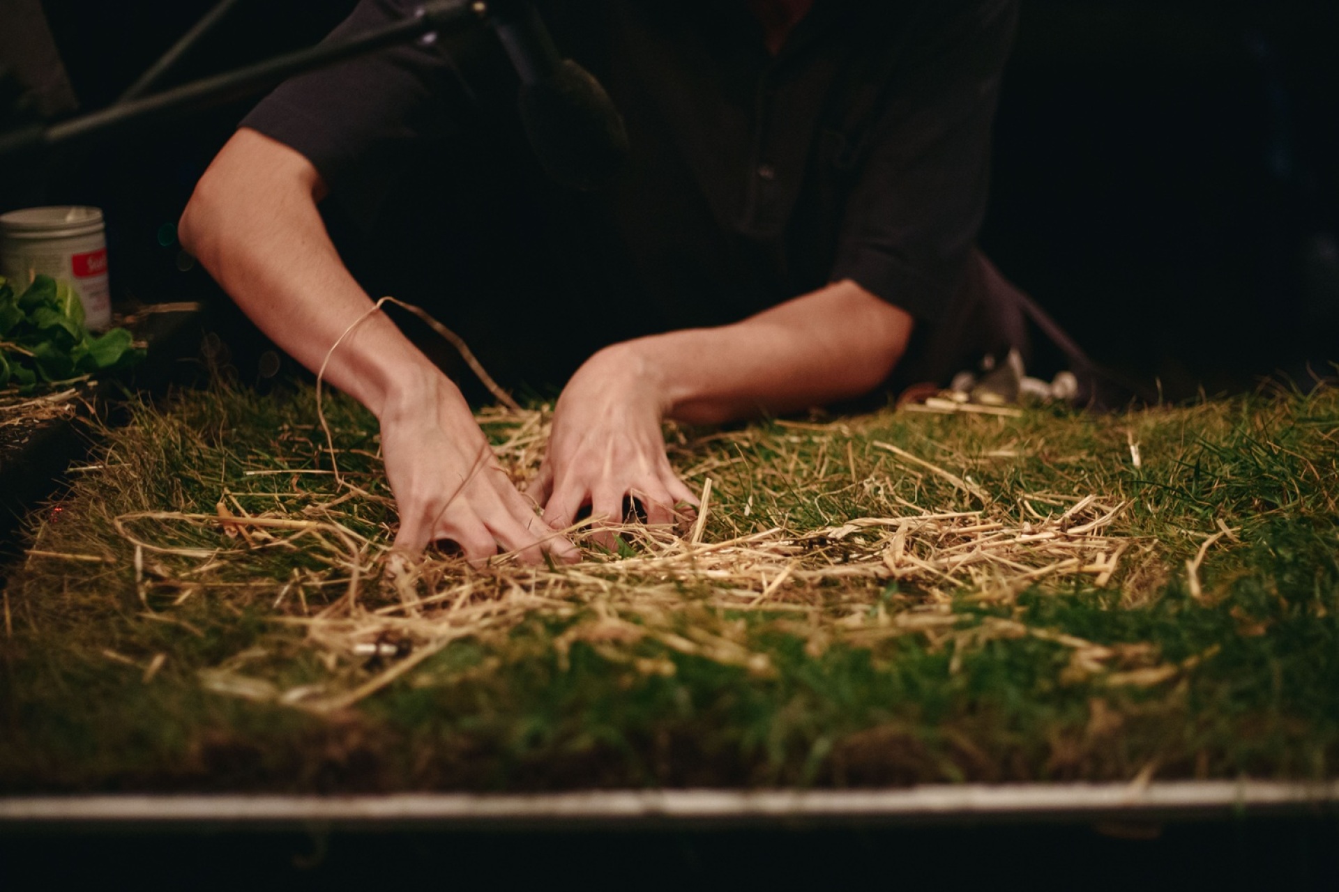 «Cow/deer» στο Εθνικό Θέατρο