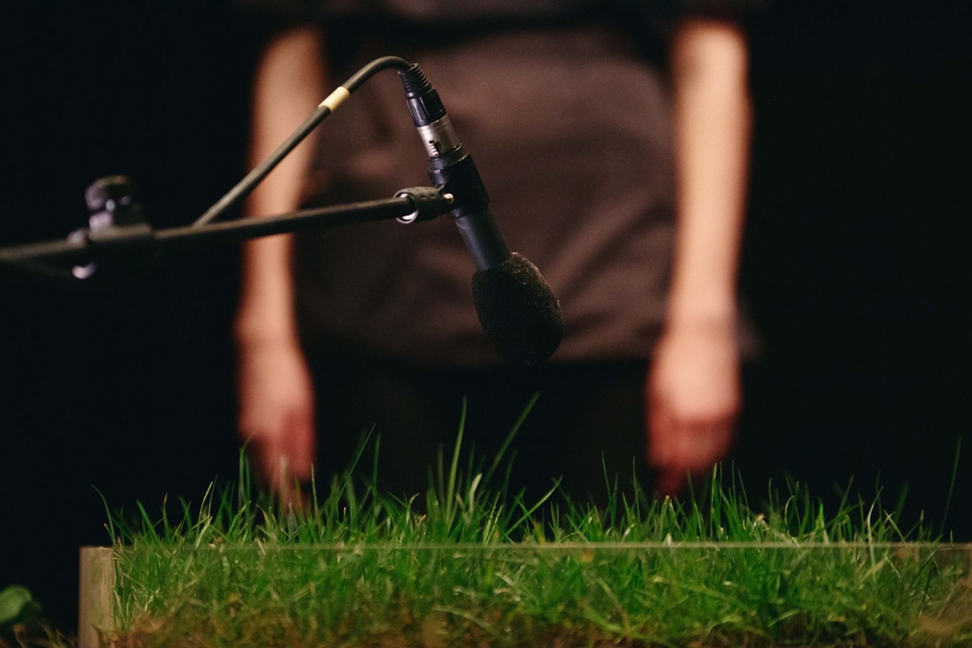 «Cow/deer» στο Εθνικό Θέατρο