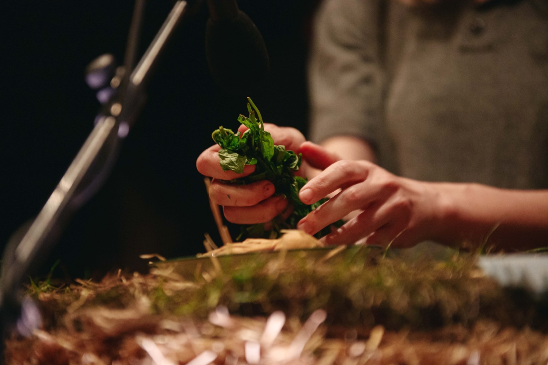 «Cow/deer» στο Εθνικό Θέατρο