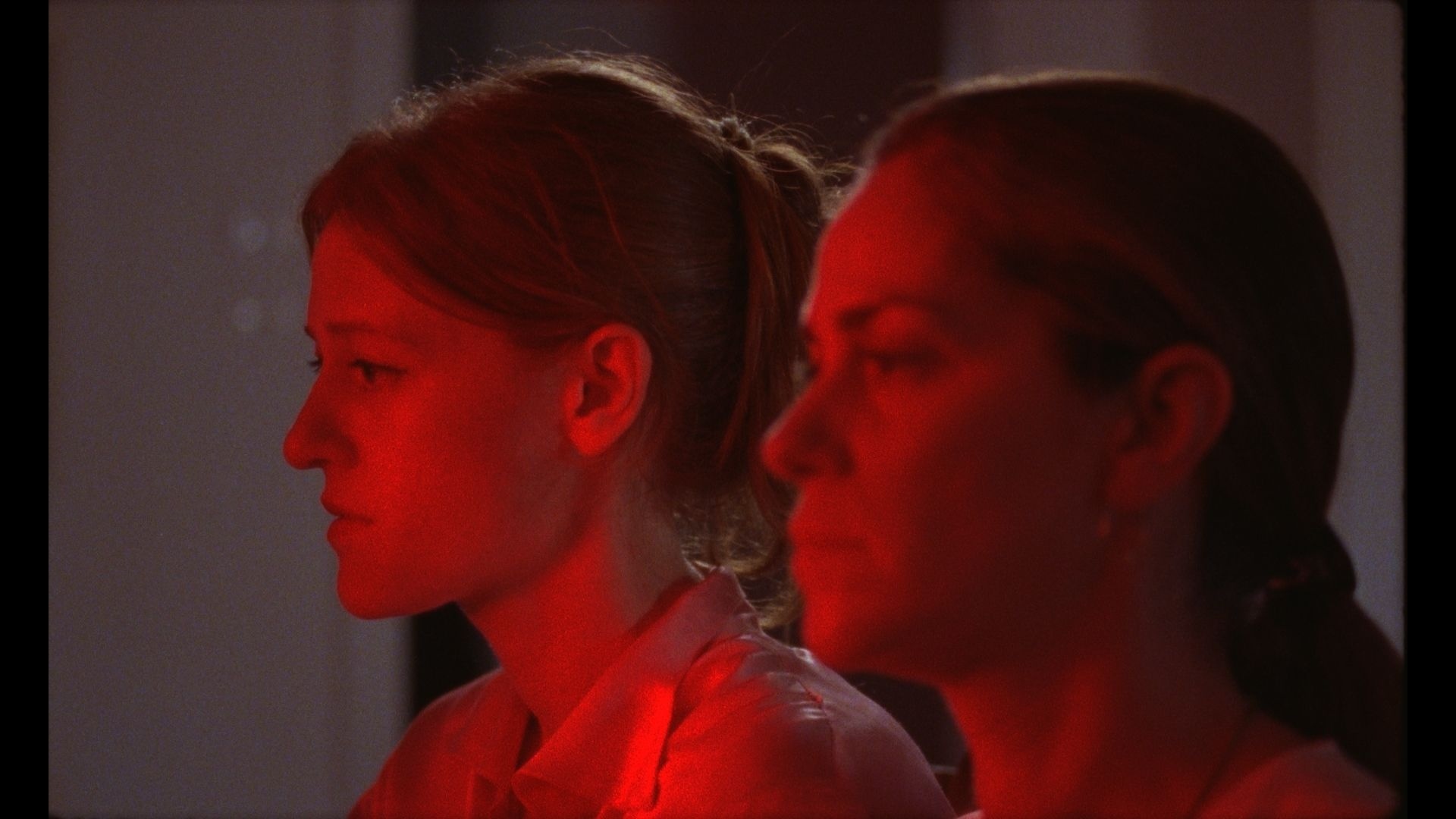 Βγαίνουν μέσ' από τη Μάργκο του Αλέξανδρου Βούλγαρη