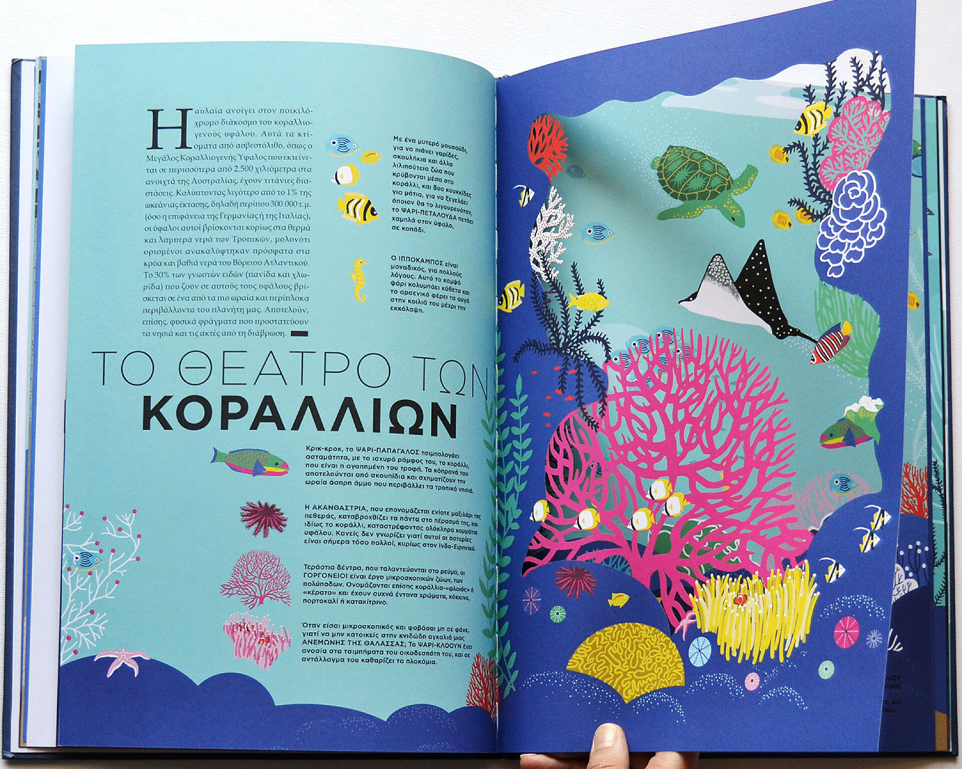 Ελέν Ντρουβέρτ | Ο Ωκεανός