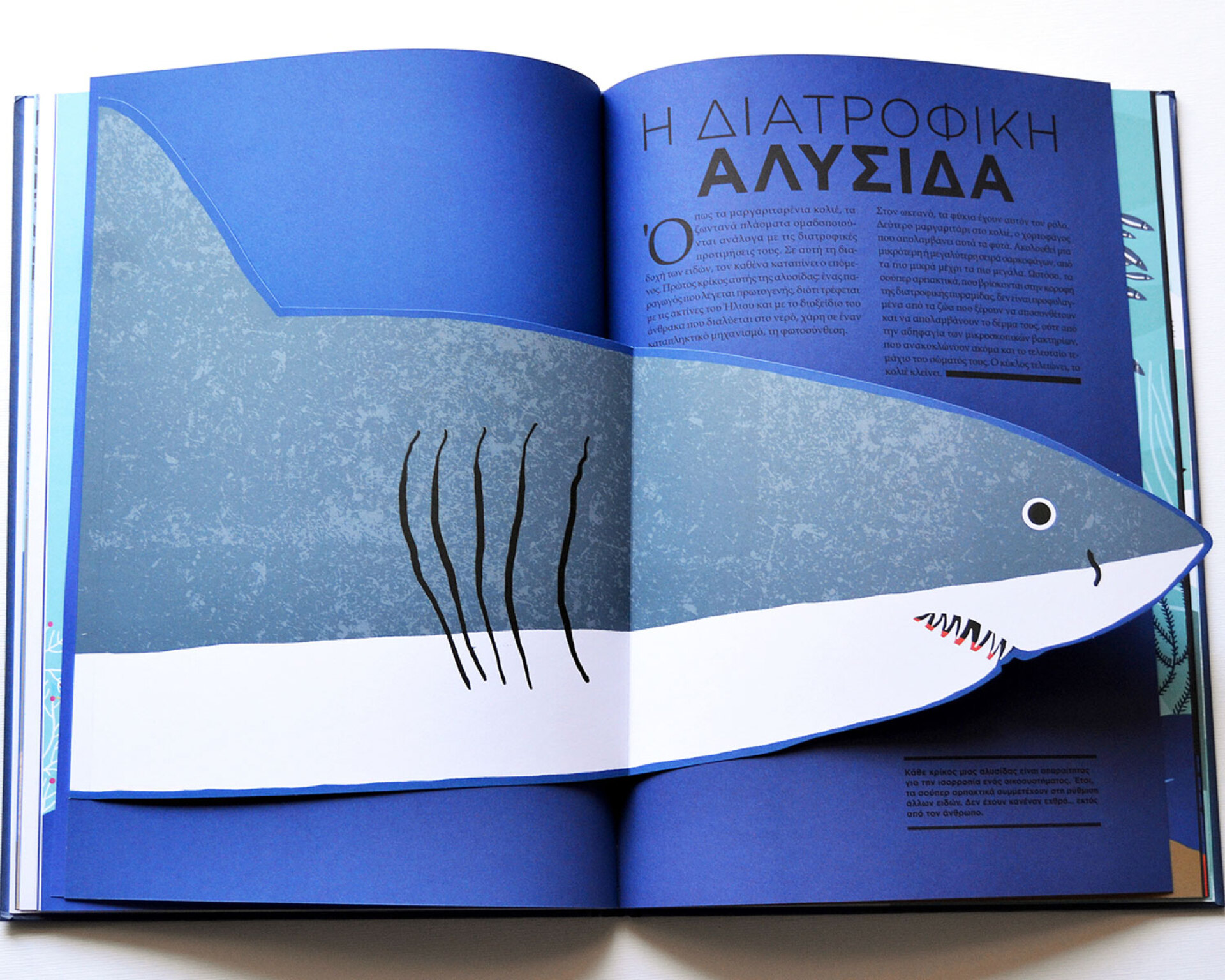 Ελέν Ντρουβέρτ | Ο Ωκεανός