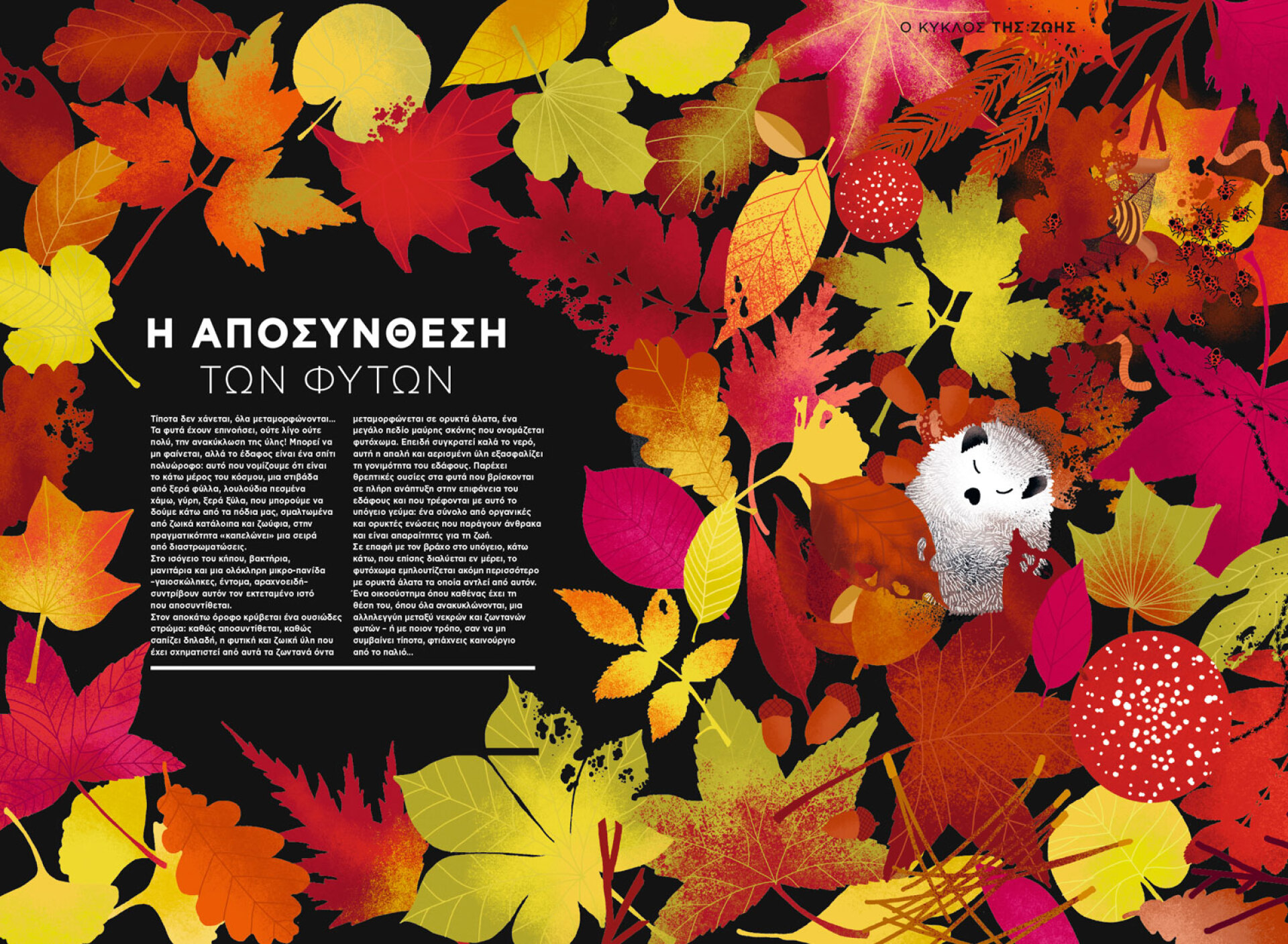 Ελέν Ντρουβέρτ | Τα Φυτά