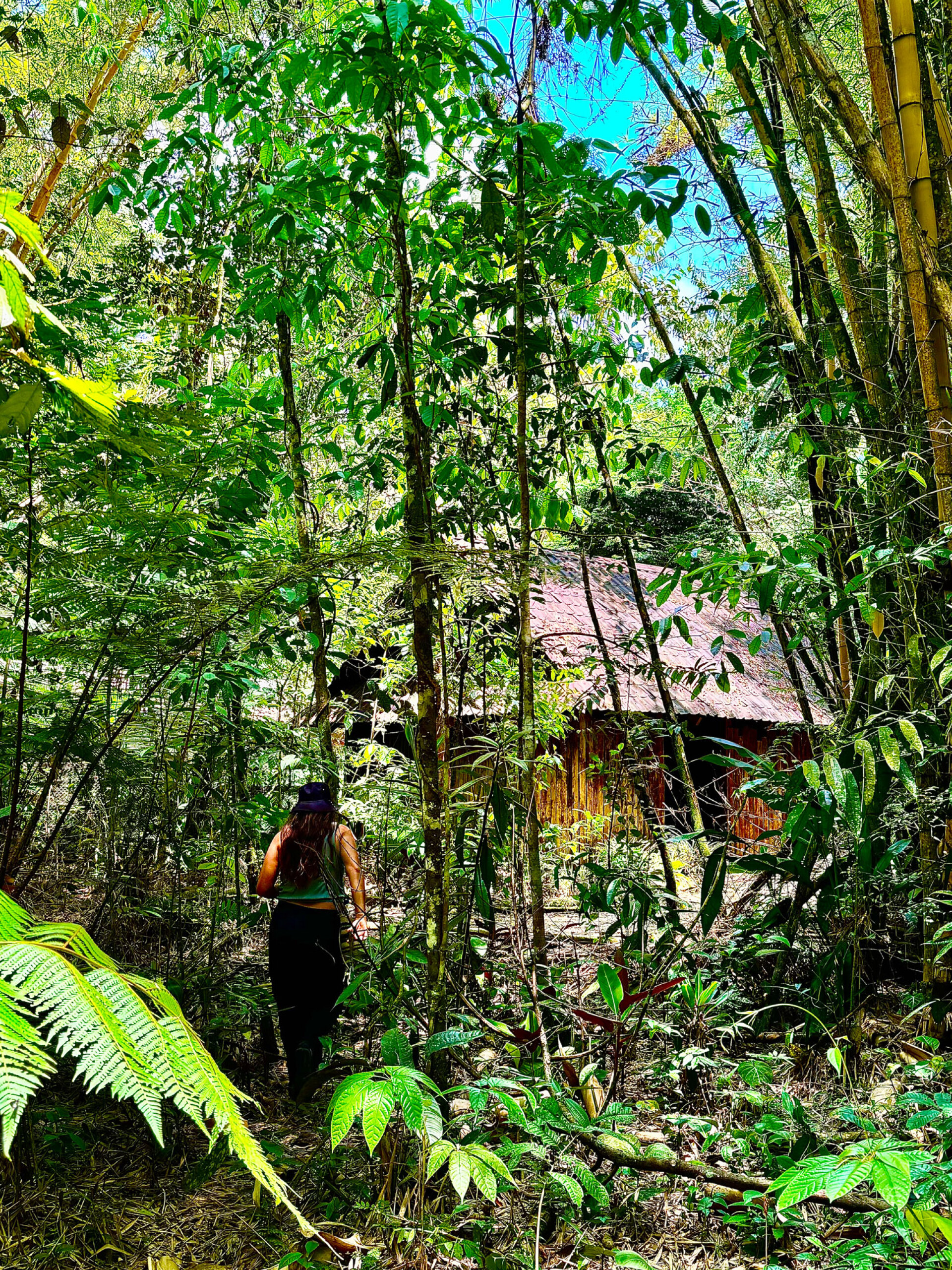 Λατινική Αμερική, Κολομβία: Το ταξίδι του Γιώργου Ζαρζώνη στην καρδιά του κακάο