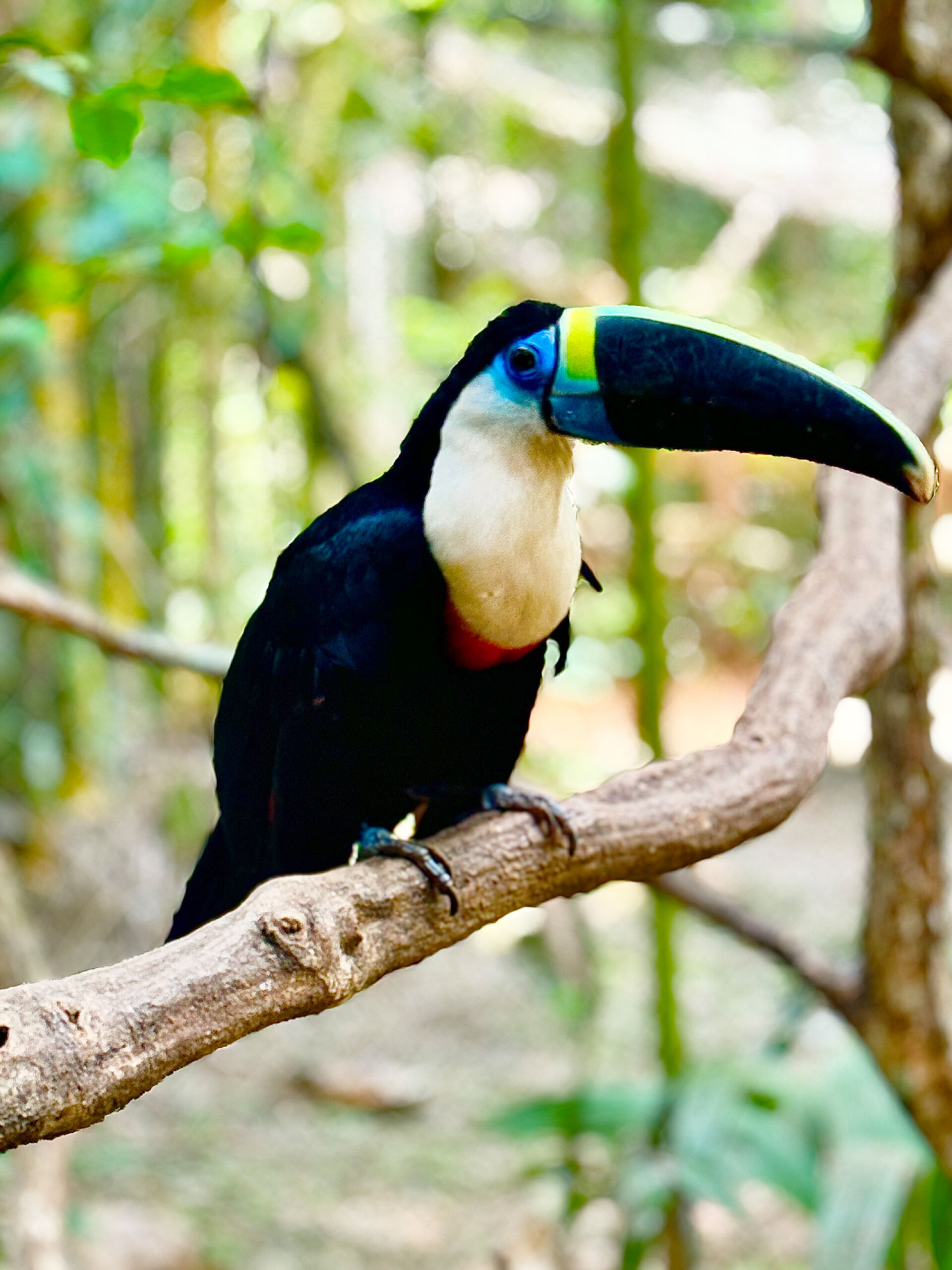 Λατινική Αμερική, Κολομβία: Το ταξίδι του Γιώργου Ζαρζώνη στην καρδιά του κακάο