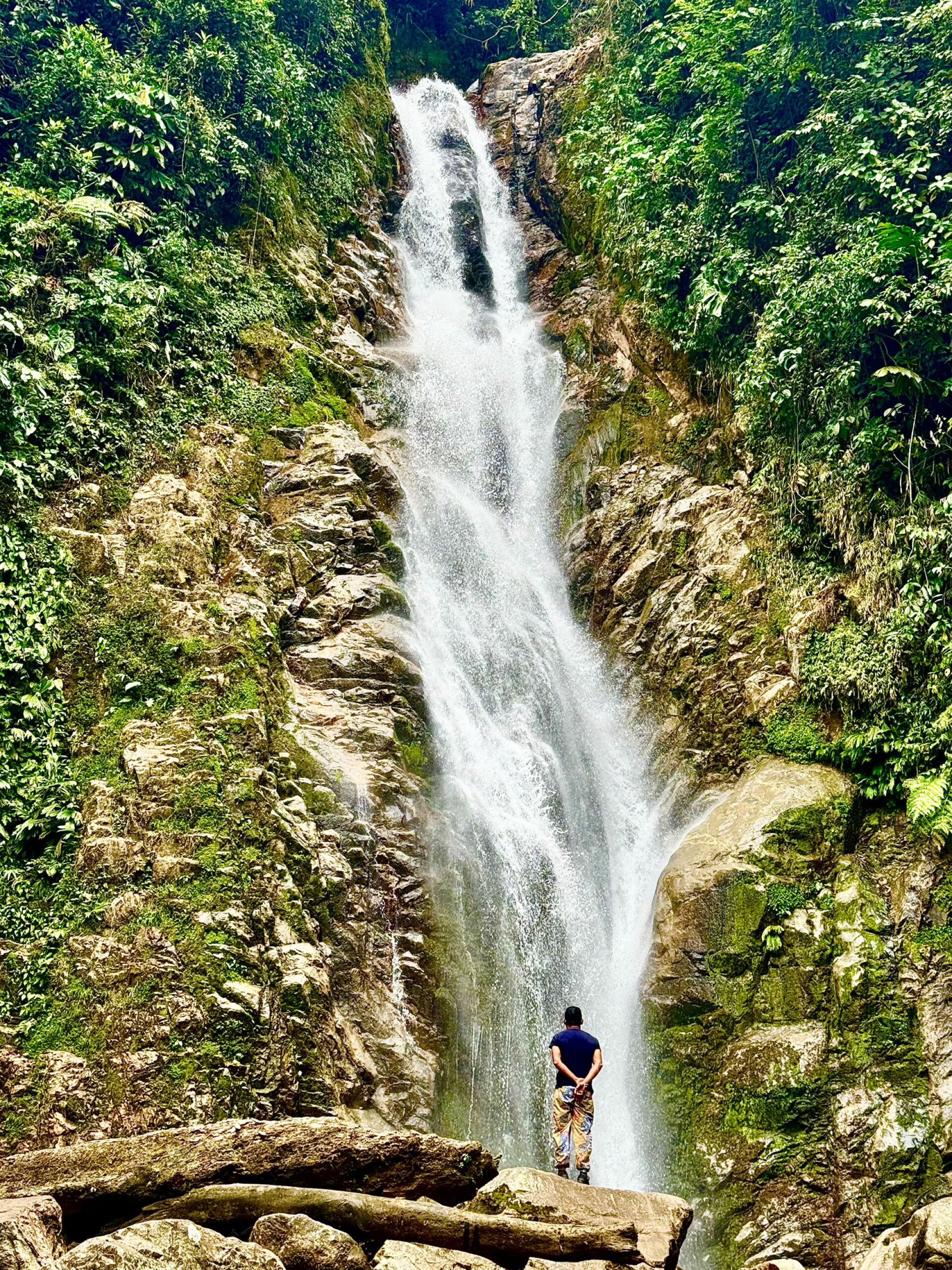 Λατινική Αμερική, Κολομβία: Το ταξίδι του Γιώργου Ζαρζώνη στην καρδιά του κακάο