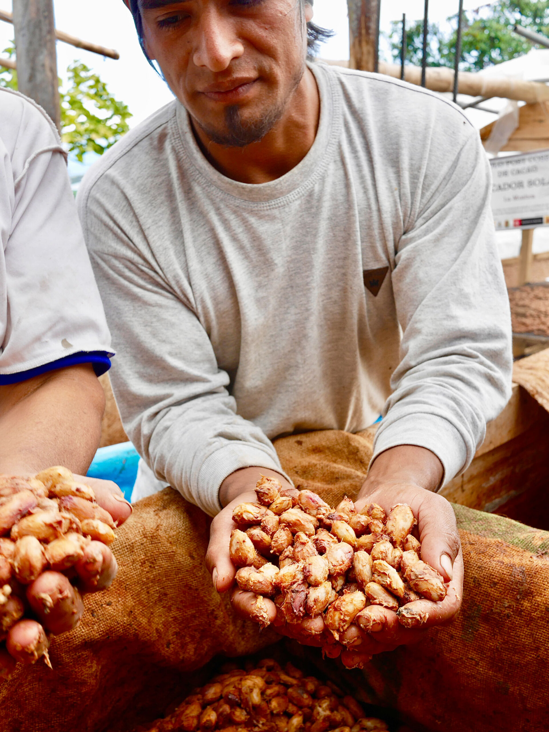 Λατινική Αμερική, Κολομβία: Το ταξίδι του Γιώργου Ζαρζώνη στην καρδιά του κακάο