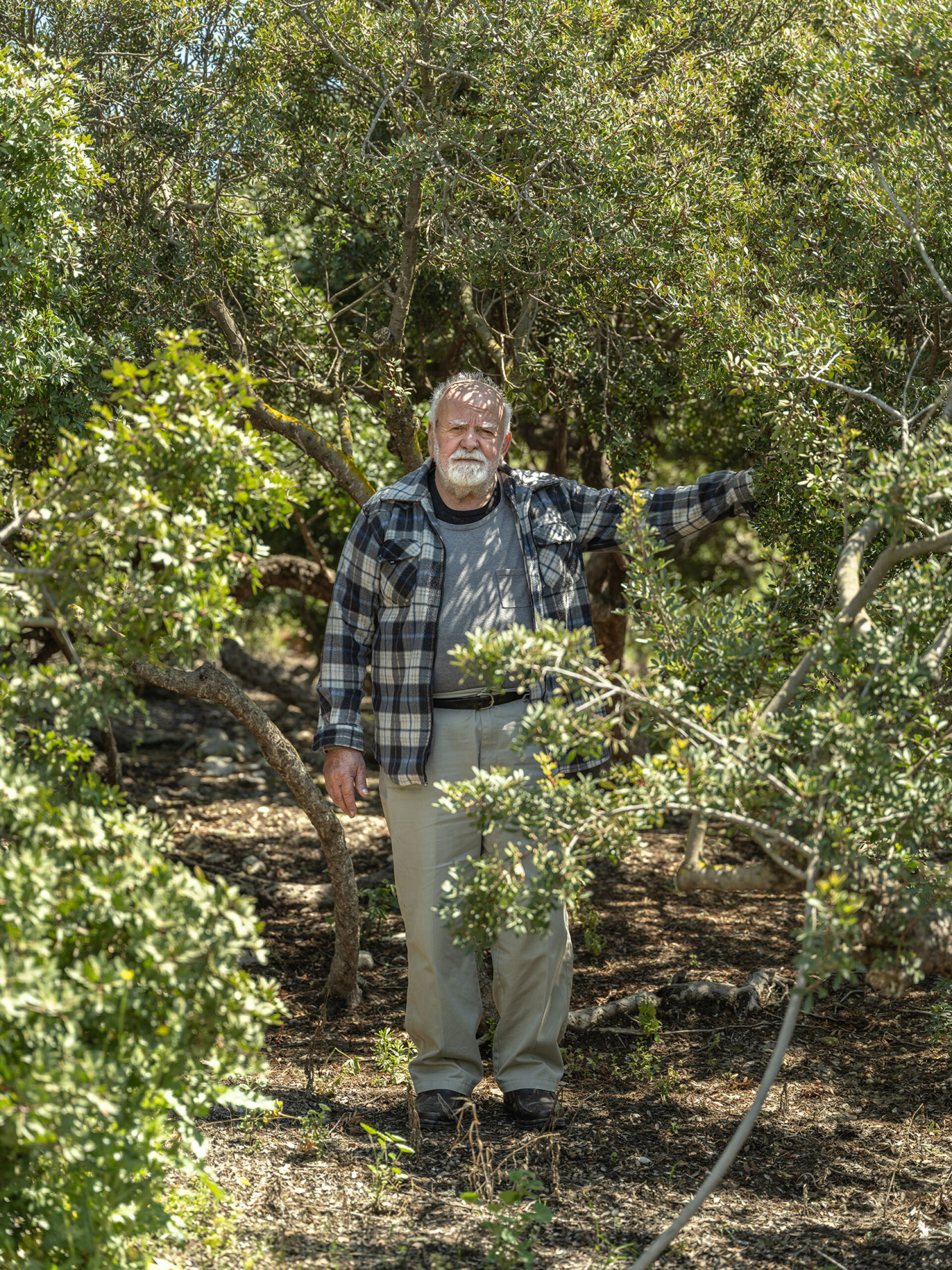 Γιώργης Γερόλυμπος | Μαστιχοχώρι, Καλαμωτή της Χίου