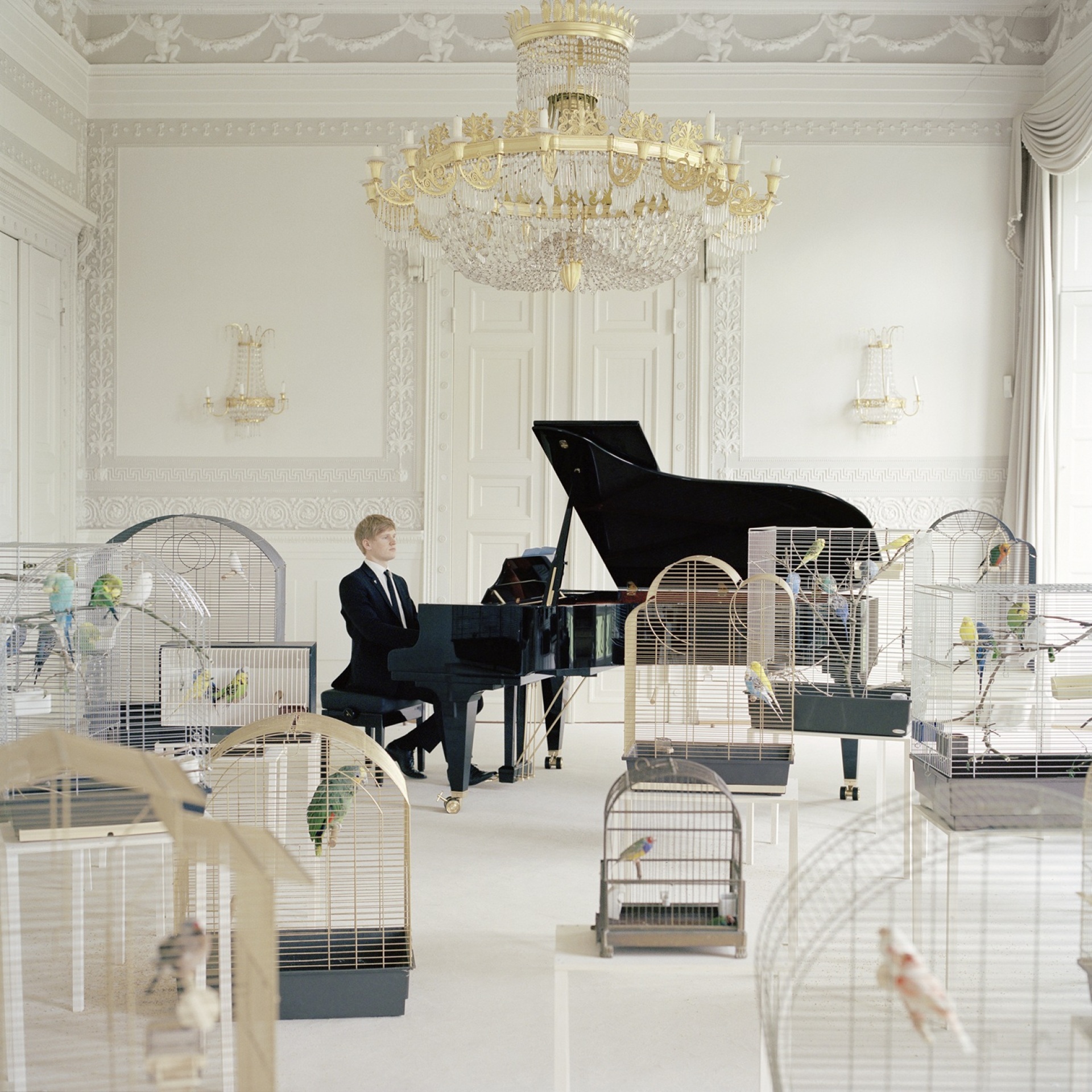 Annika Kahrs Playing to the Birds, 2013 (στιγμιότυπο) Μονοκάναλο βίντεο, έγχρωμο, με ήχο, 14΄ 