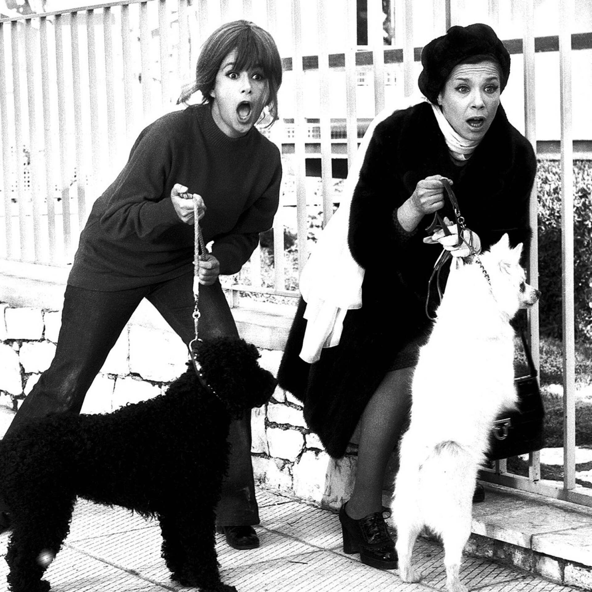 Αλίκη Βουγιουκλάκη, Μέλπω Ζαρόκωστα