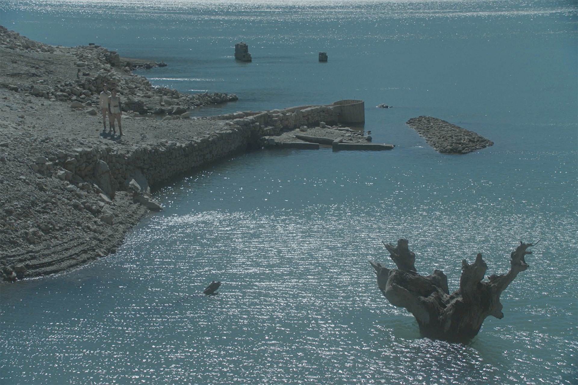 Έφη Γούση, «Tectonic riders»