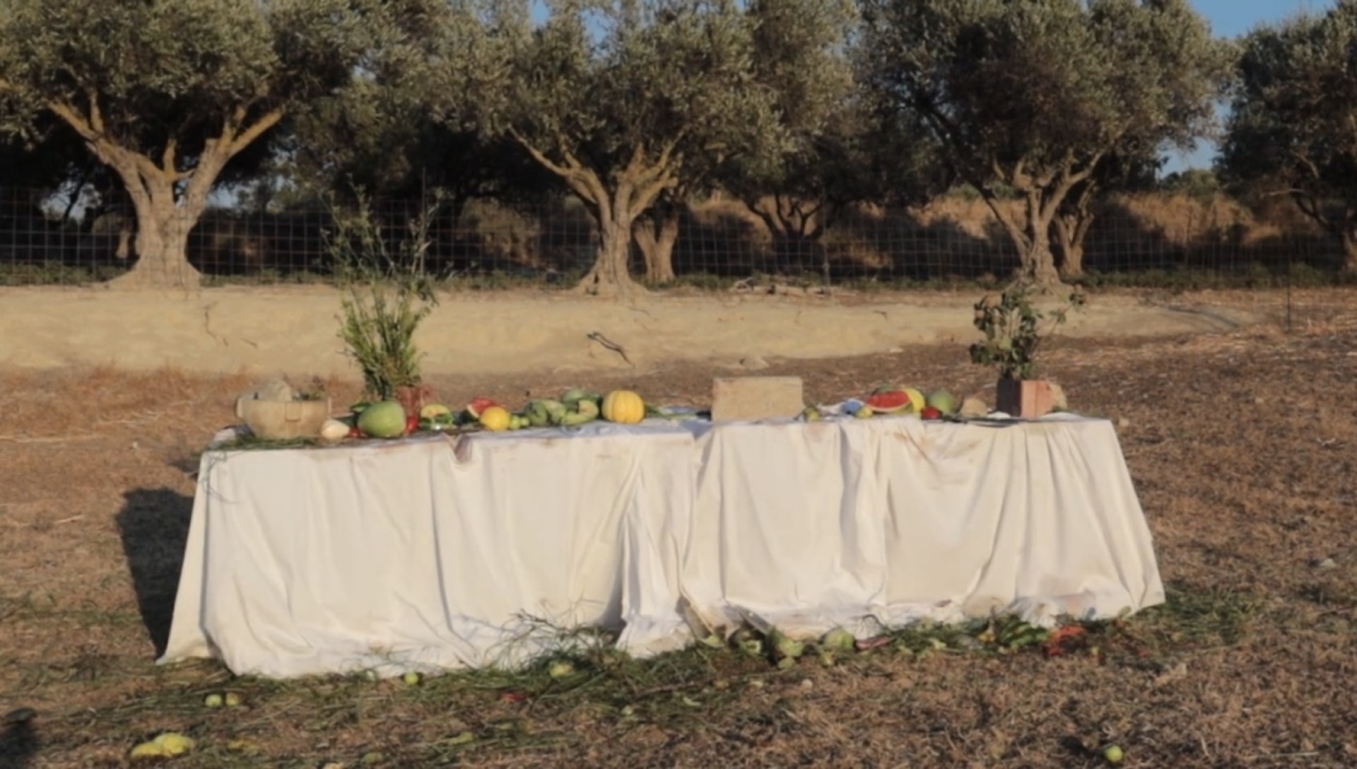 Ευθύμης Μοσχόπουλος, «FÁE»