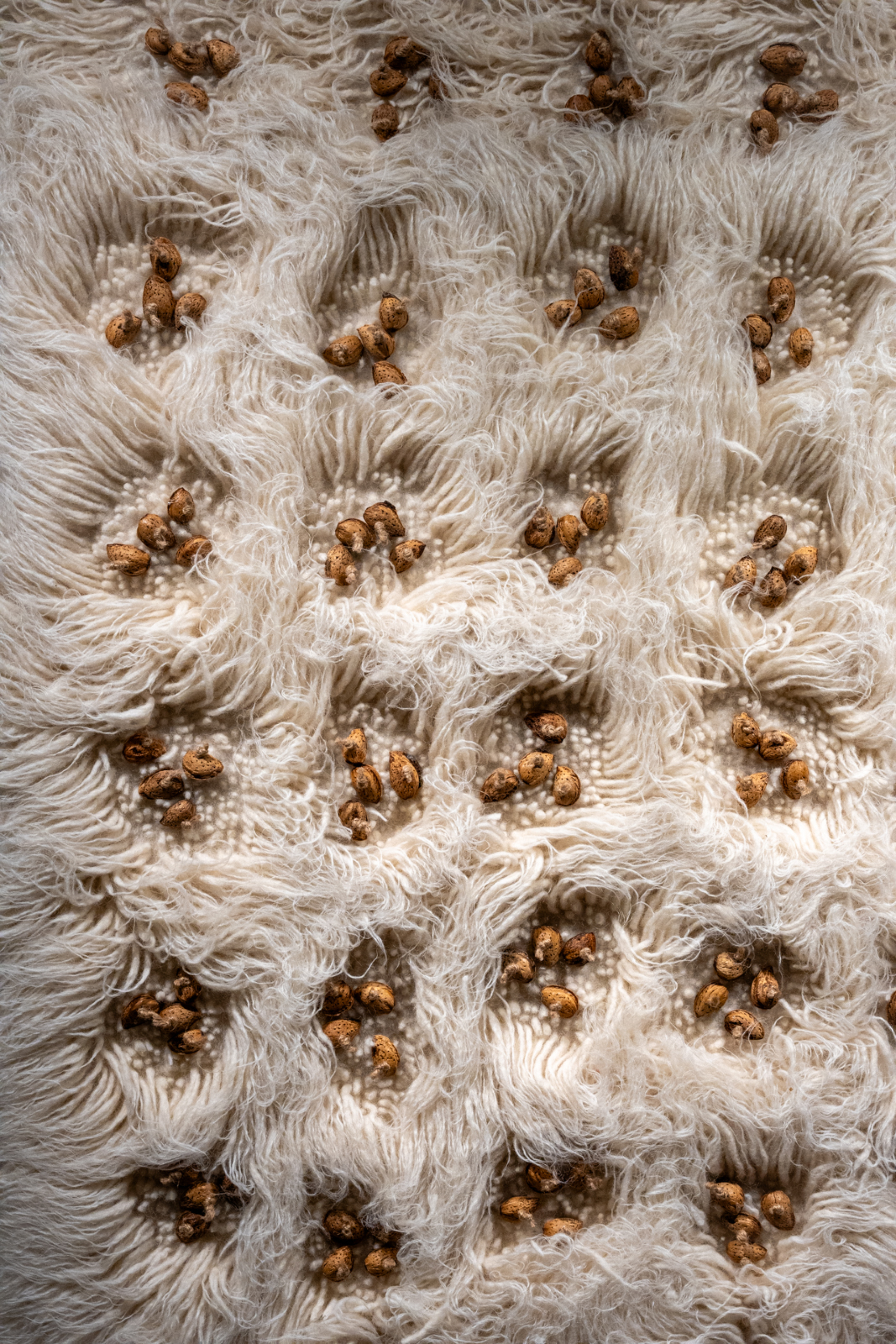 ΓΙΩΡΓΟΣ ΤΣΑΚΙΡΗΣ - ΖΩΓΡΑΦΙΚΗ / ΑΝΑΔΡΟΜΙΚΗ - Δημοτική Πινακοθήκη Θεσσαλονίκης