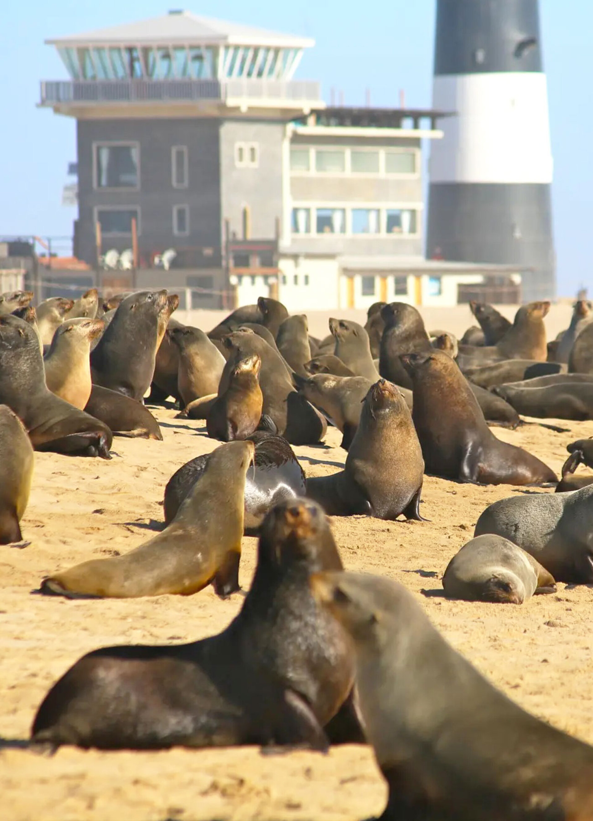 Ναμίμπια | Pelican Point Lodge