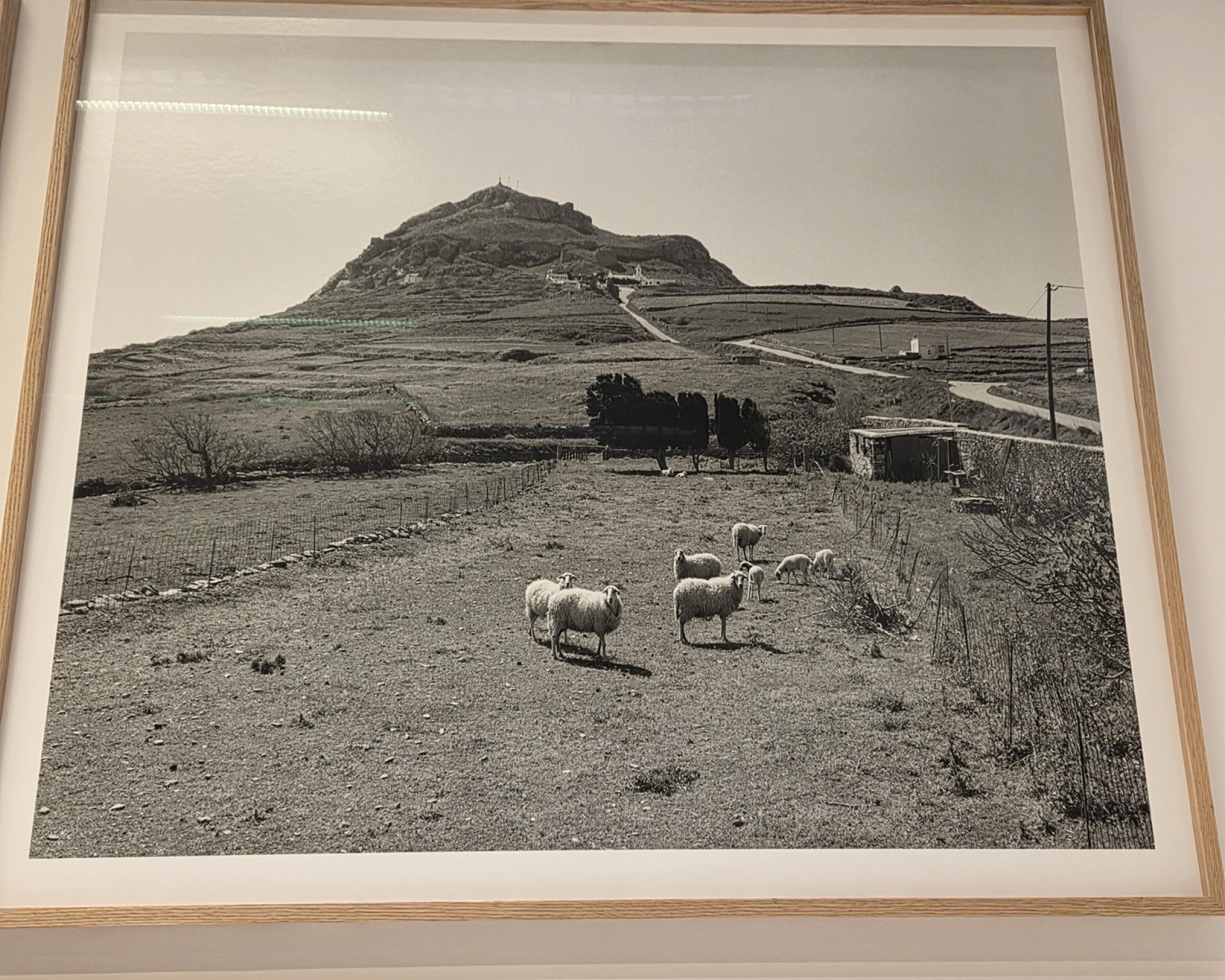 Γιώργος Λάνθιμος, «Photographs», Στέγη Ιδρύματος Ωνάση