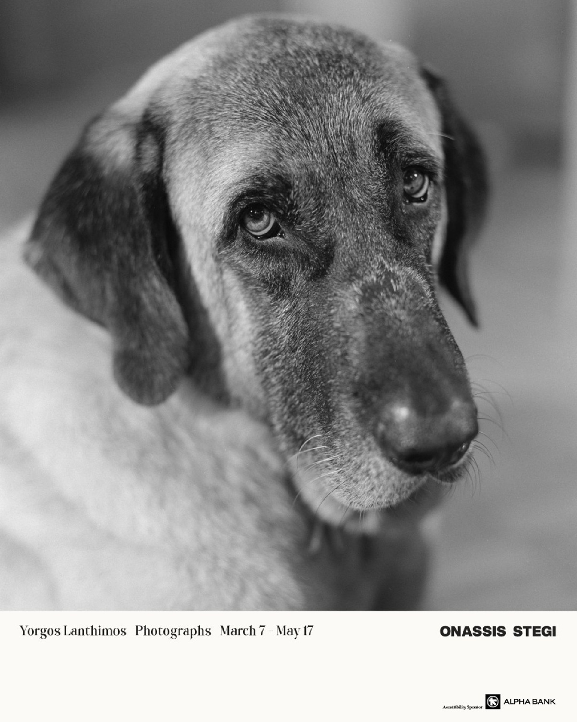 Γιώργος Λάνθιμος, «Photographs», Στέγη Ιδρύματος Ωνάση