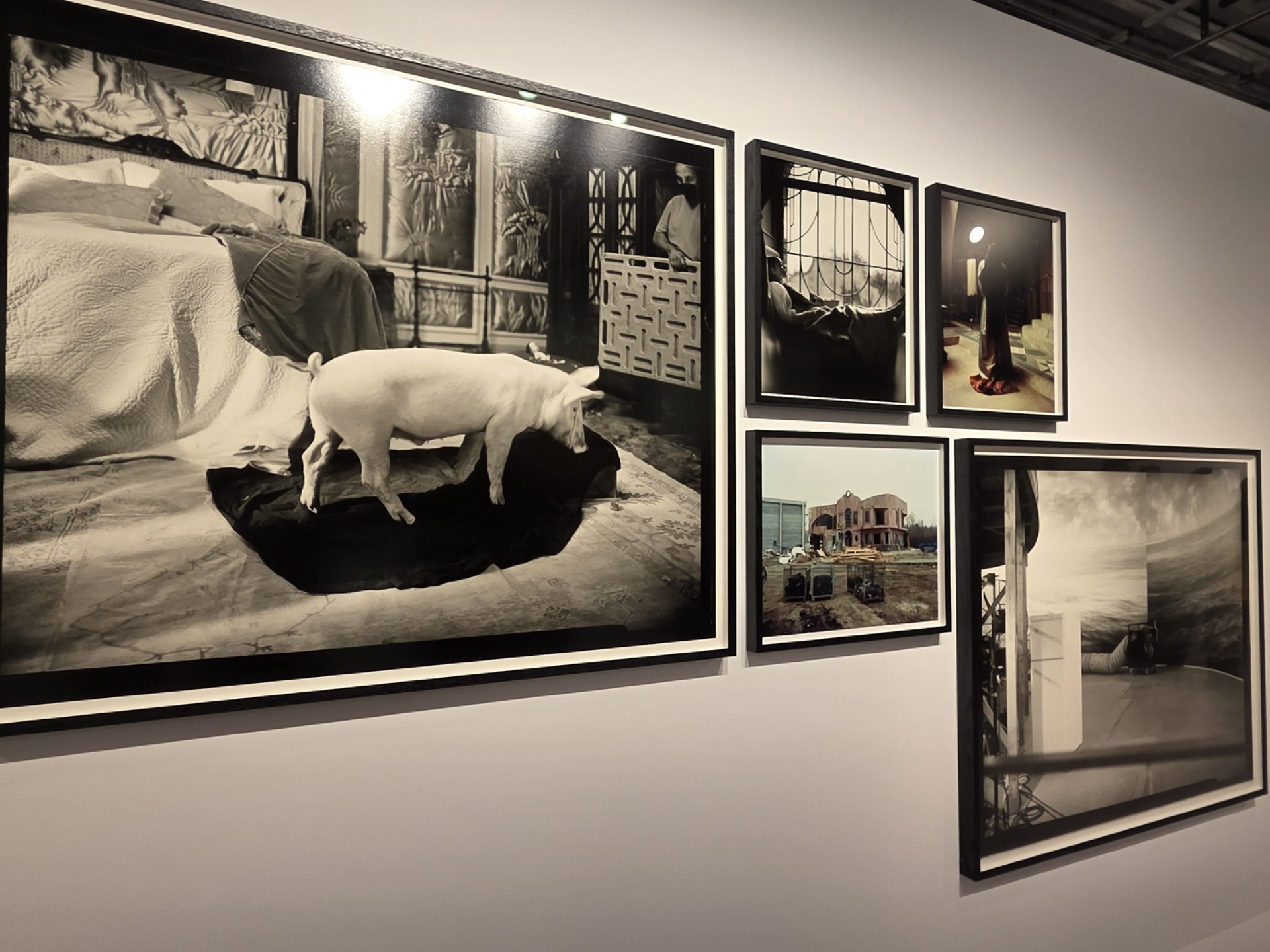 Γιώργος Λάνθιμος, «Photographs», Στέγη Ιδρύματος Ωνάση