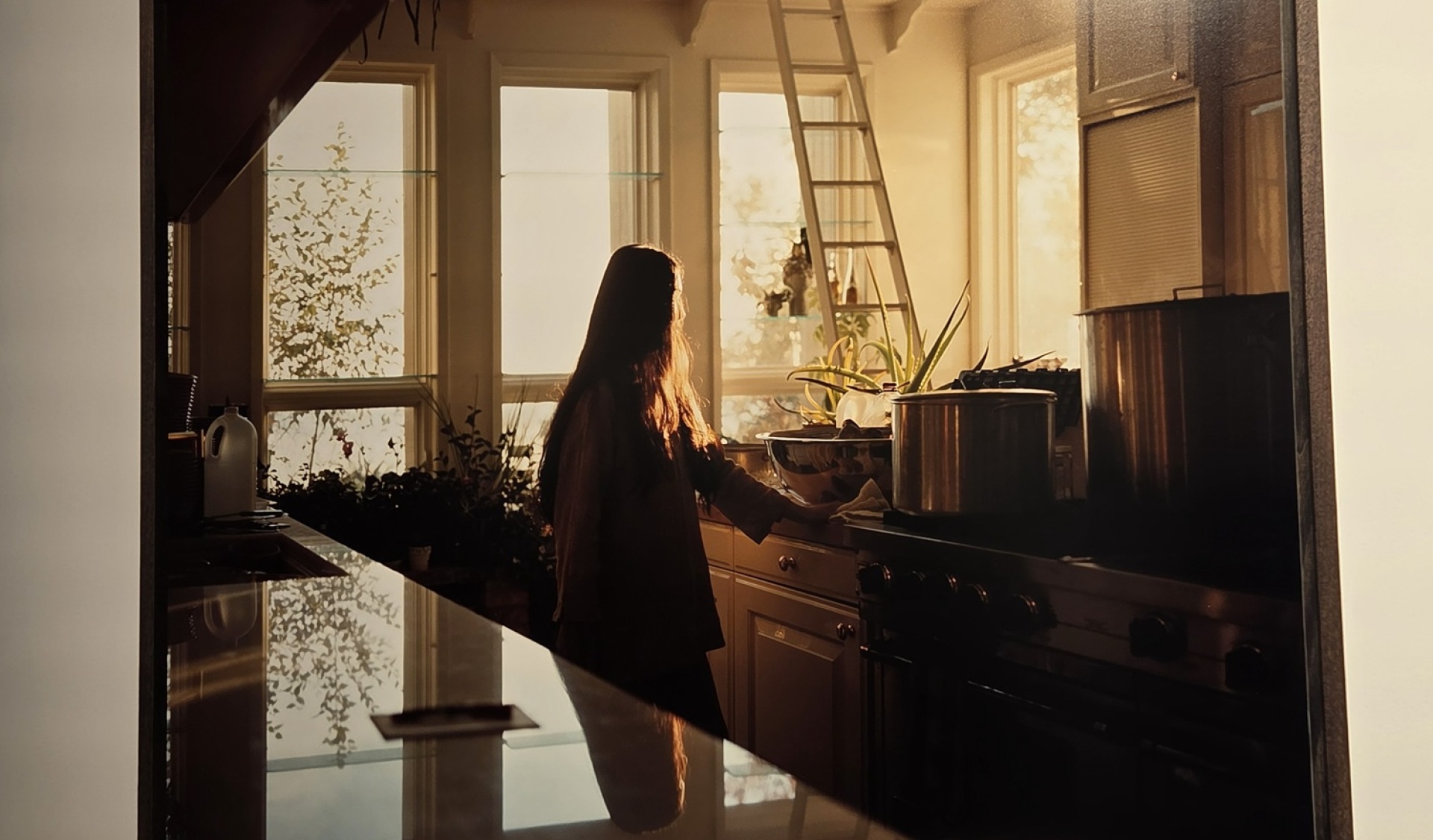 Γιώργος Λάνθιμος, «Photographs», Στέγη Ιδρύματος Ωνάση