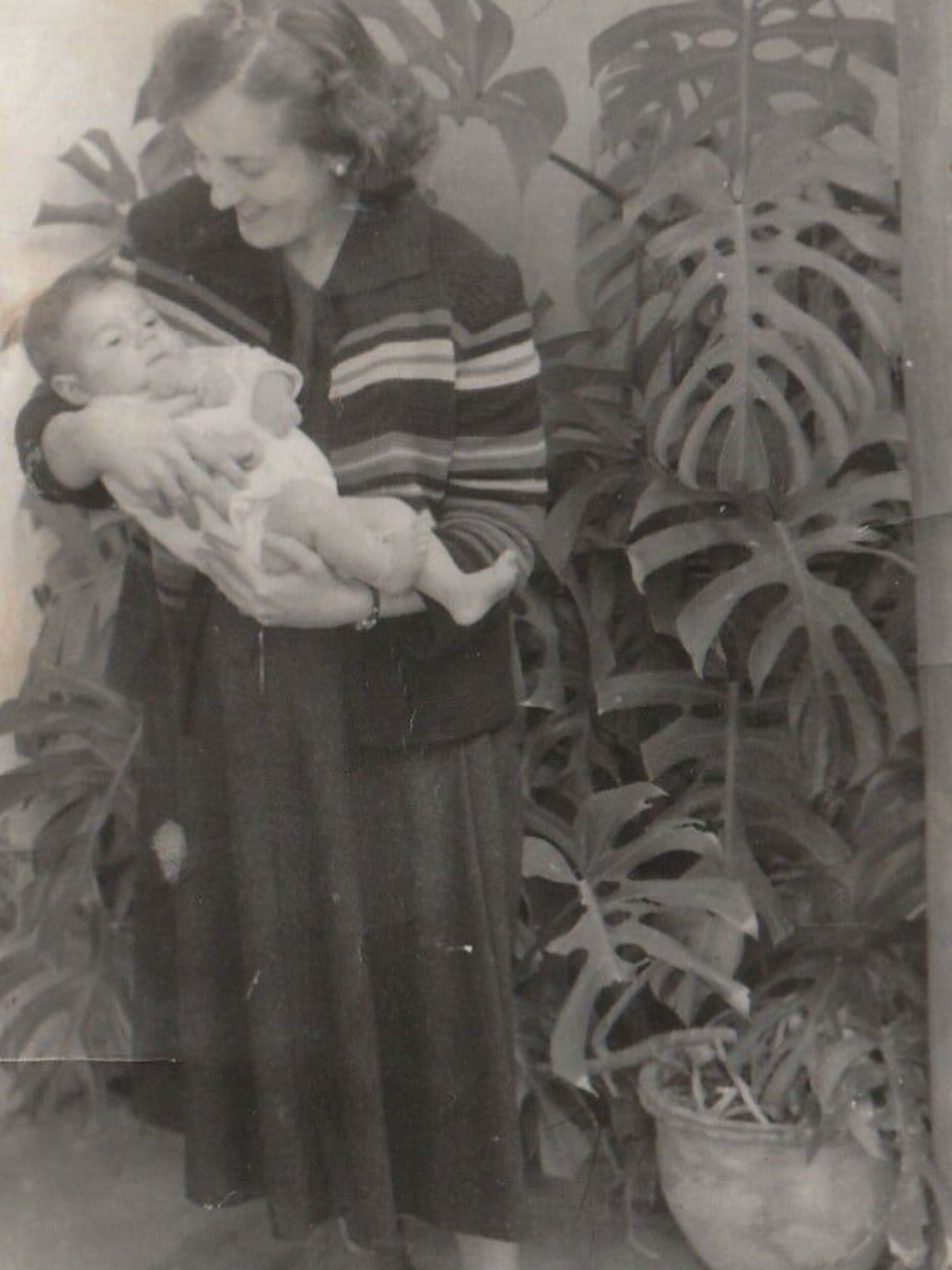 Άγγελος Παπαδημητρίου | Τεσσάρων μηνών