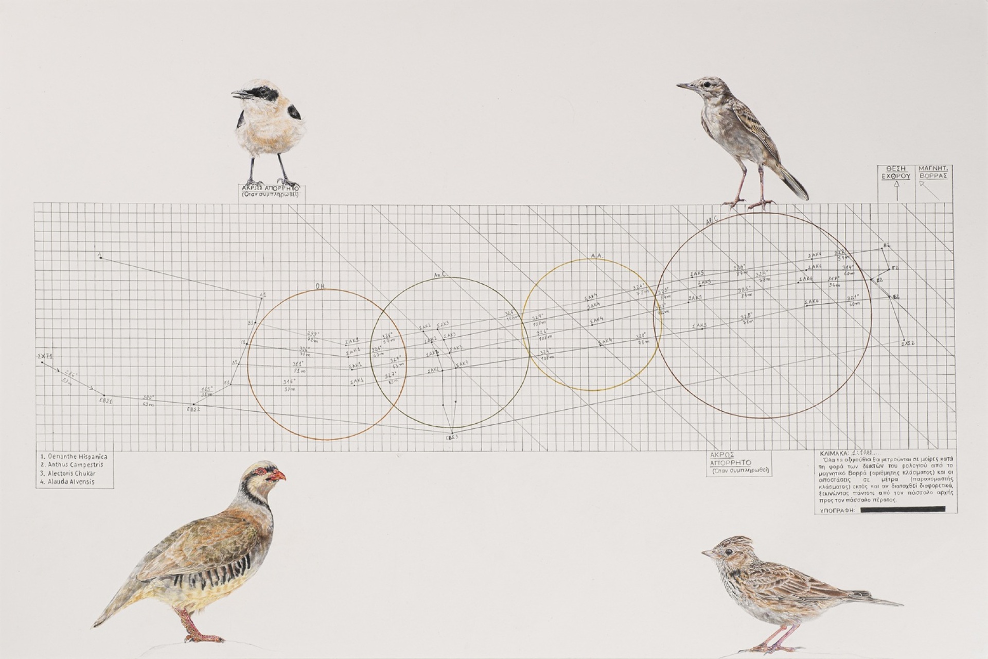 Μαρίνα Γκενάντιεβα, «Χάρτης ενεργού ναρκοπεδίου- Νεκρή ζώνη της Κύπρου», 2026