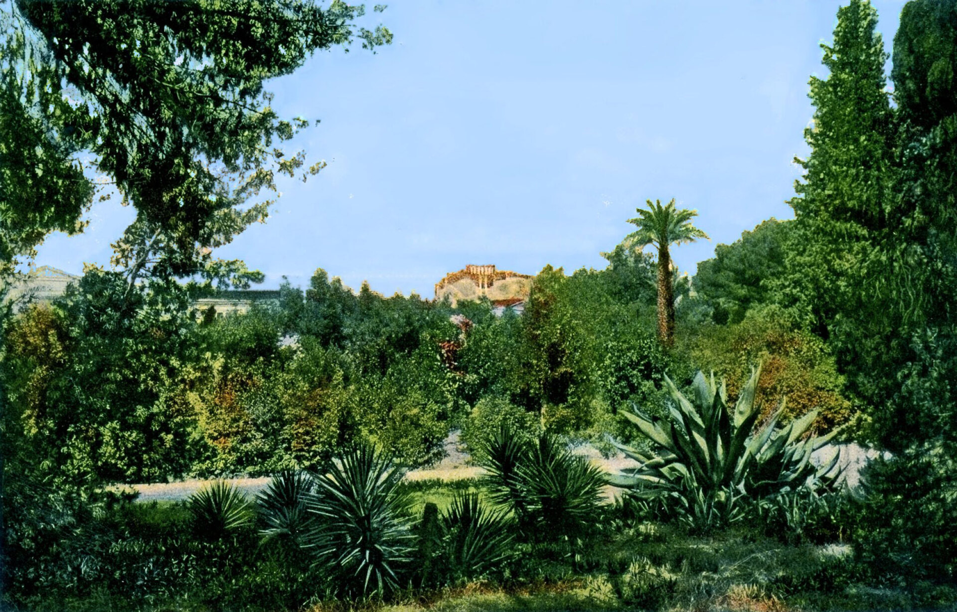 Εθνικός Κήπος, 1905