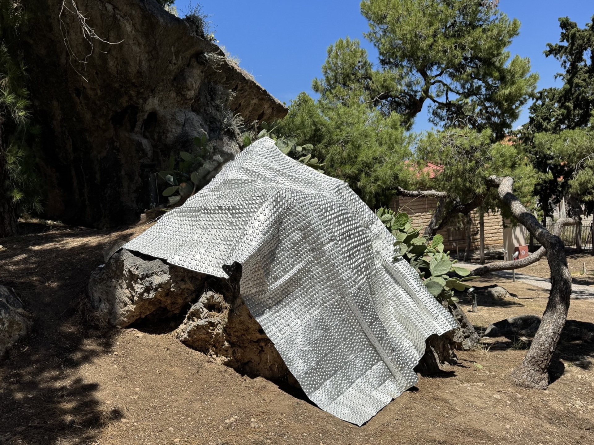 Πέγκυ Κλιάφα, Blanket of relief