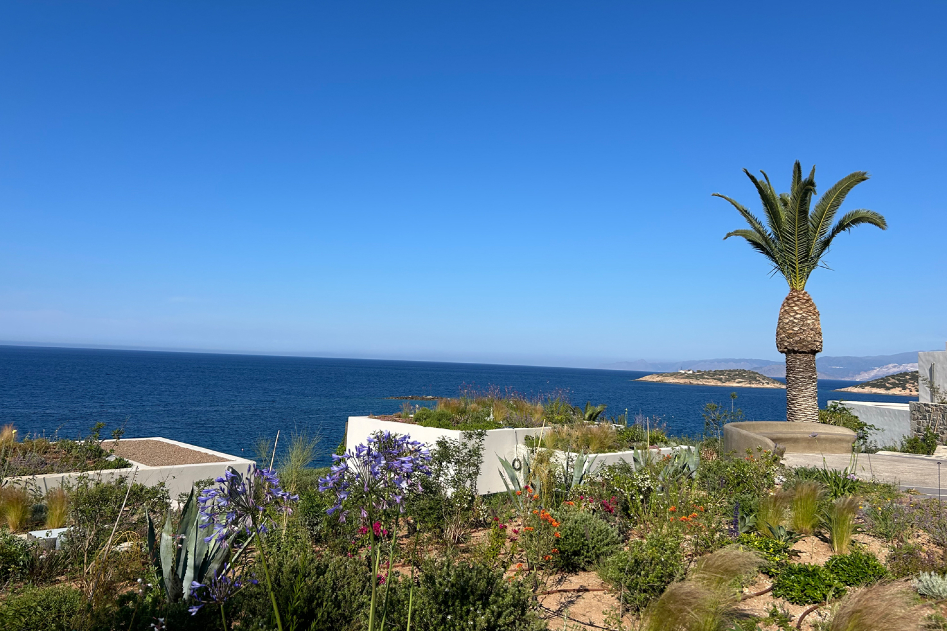 Nao Longevity Hub | Minos Palace | Κρήτη