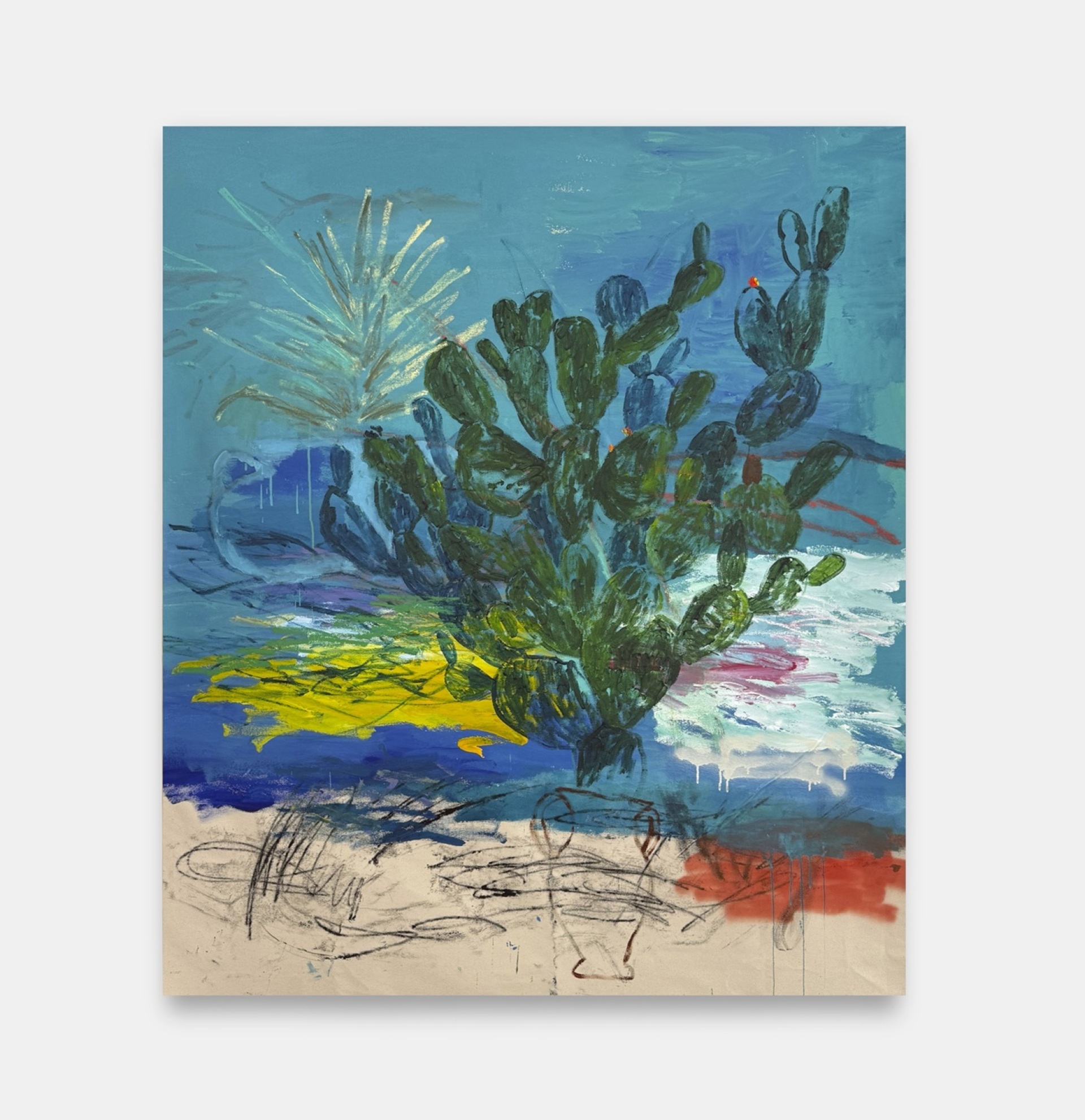 Douglas Knesse, First Cactus