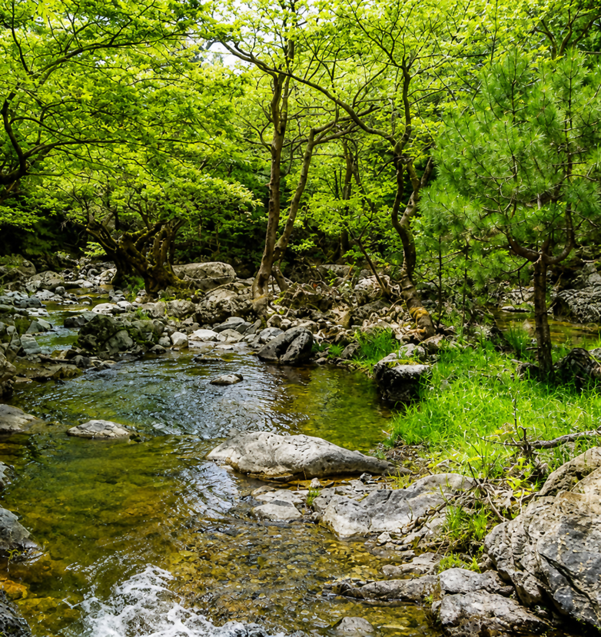 Βόρεια Εύβοια | Καταρράκτες Δρυμώνα