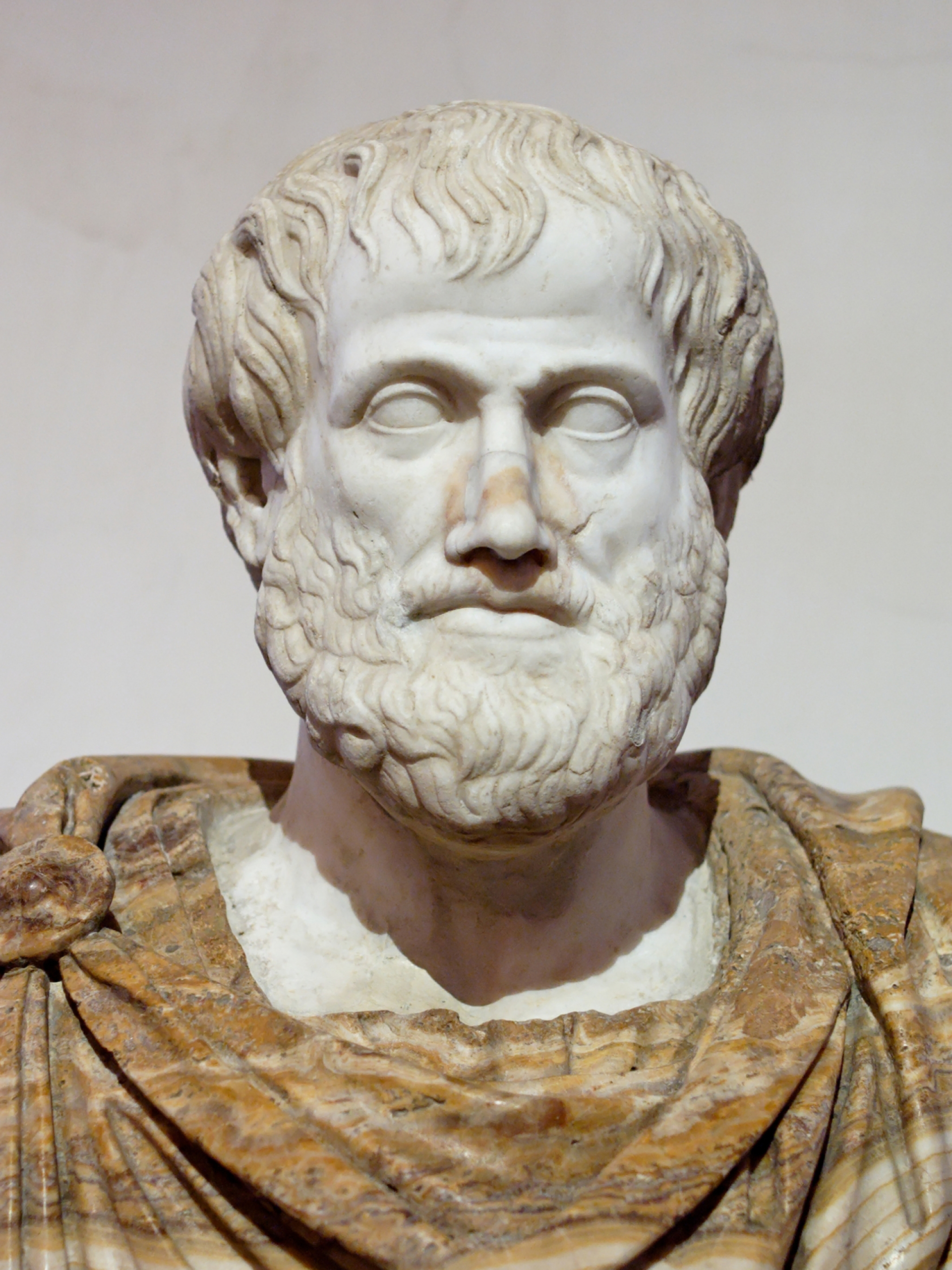 Ο Αριστοτέλης (384-322 π.Χ), ρωµαϊκό αντίγραφο πρωτοτύπου του Λυσίππου, προσωπικού γλύπτη του Μεγάλου Αλεξάνδρου (περ. 330 π.Χ.), Συλλογή Ludovisi, Eθνικό Ρωµαϊκό Μουσείο αρ. ευρ. 8575