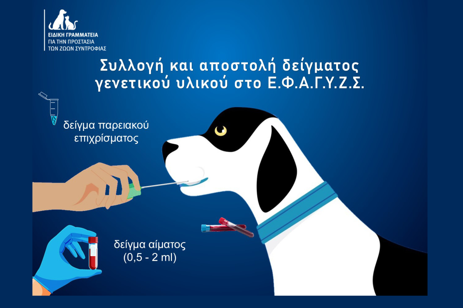 Ειδική Γραμματεία Προστασία Ζώων Συντροφιάς