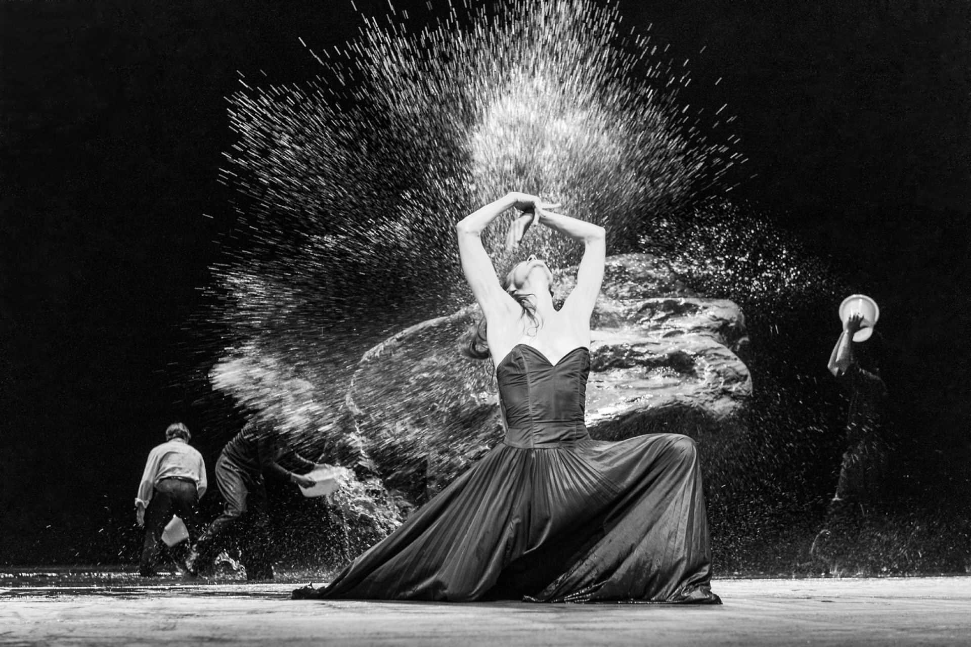 Vollmond, Πίνα Μπάους