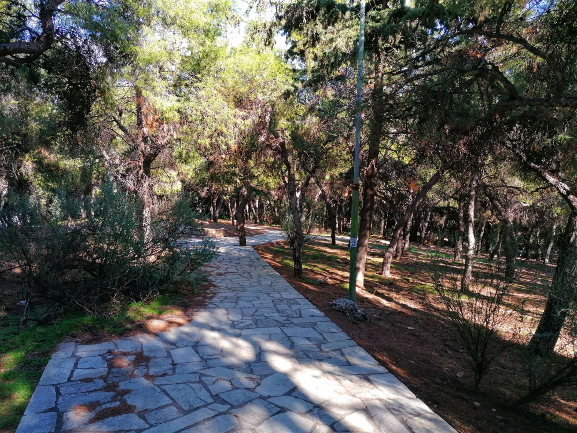 Αλσος Ιλισίων