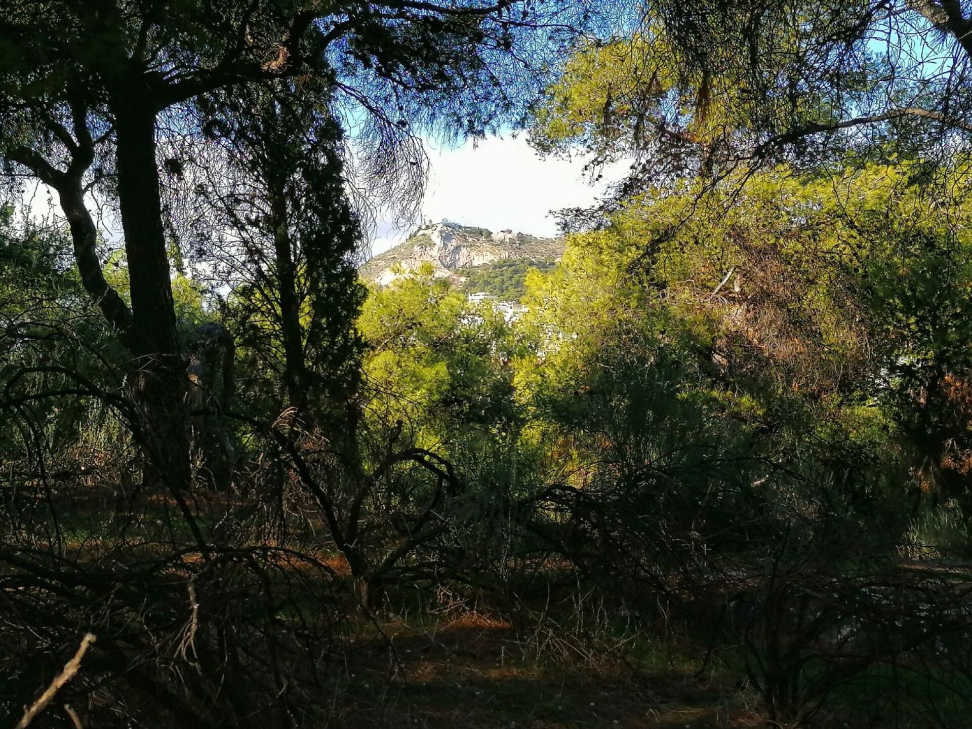 Πάρκο Ιλισίων