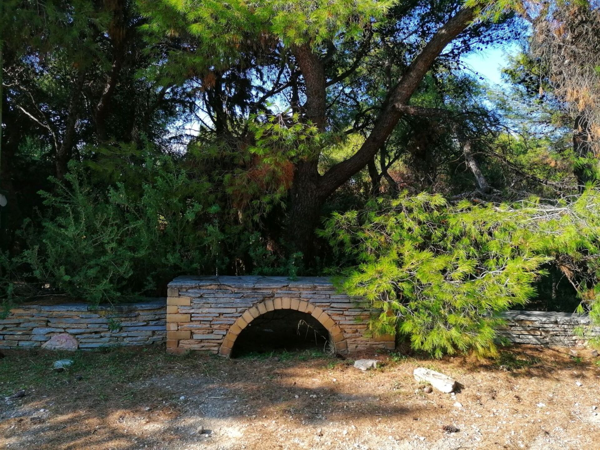 Αλσος Ιλισίων