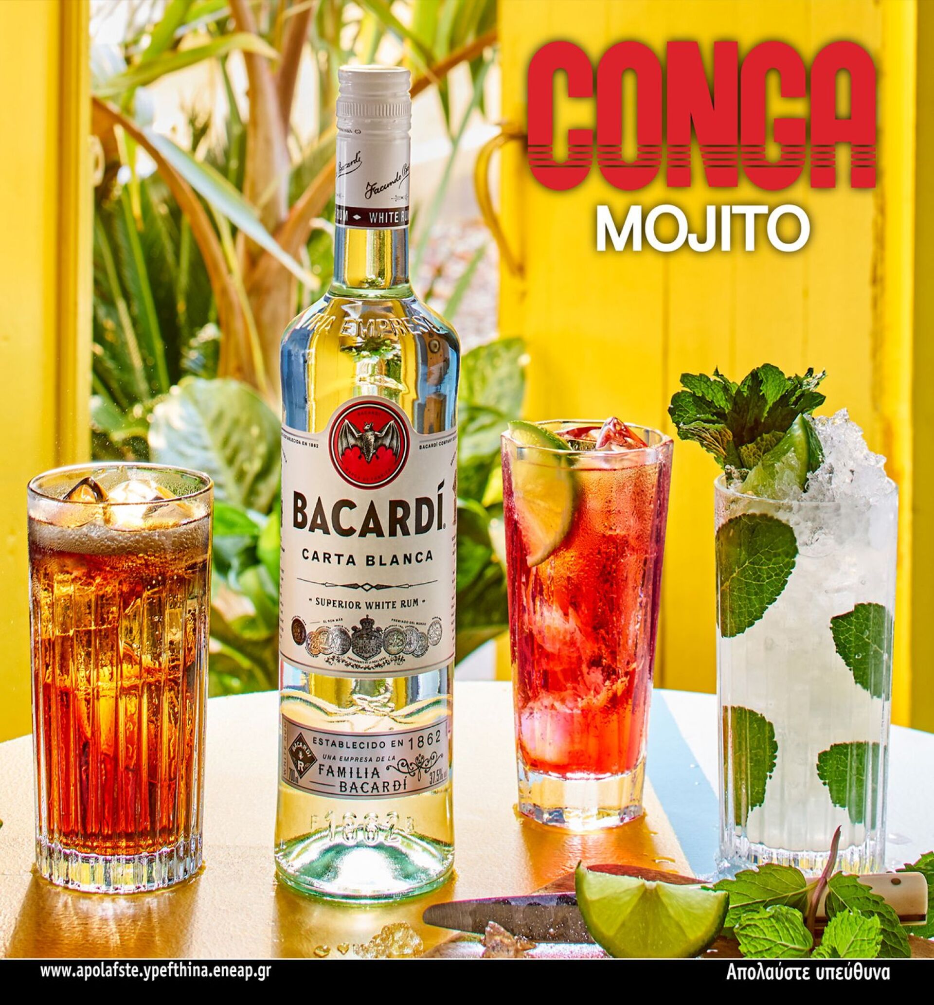 1400x1300_conga_mojito_3_0.jpg