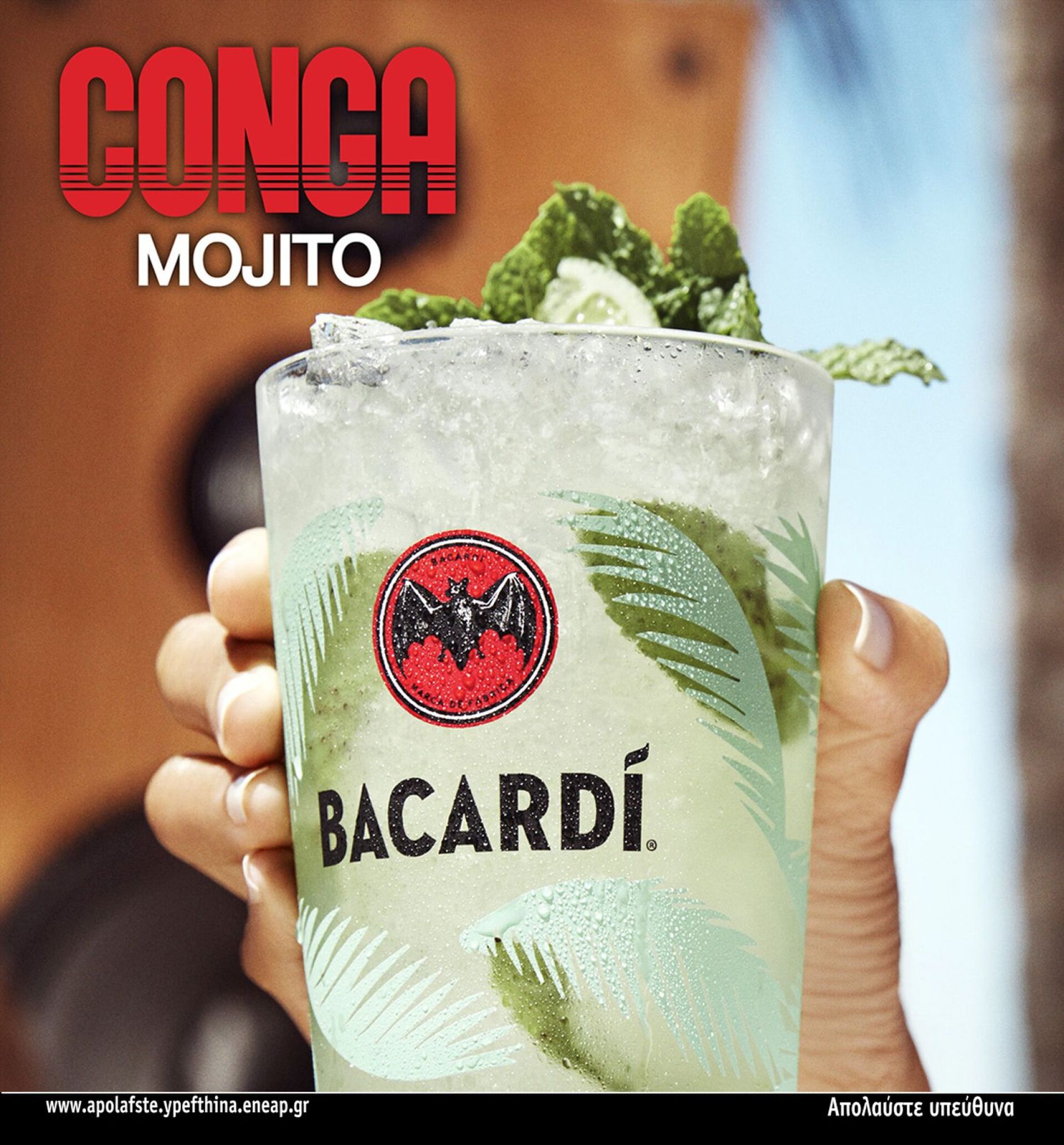 1400x1300_conga_mojito_4_0.jpg