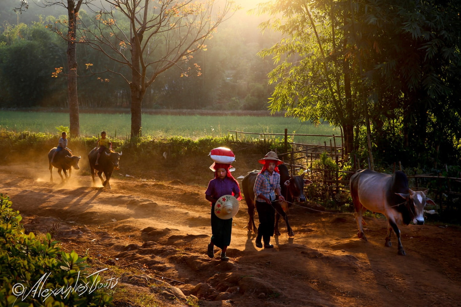 Αλέξανδρος Τσούτης